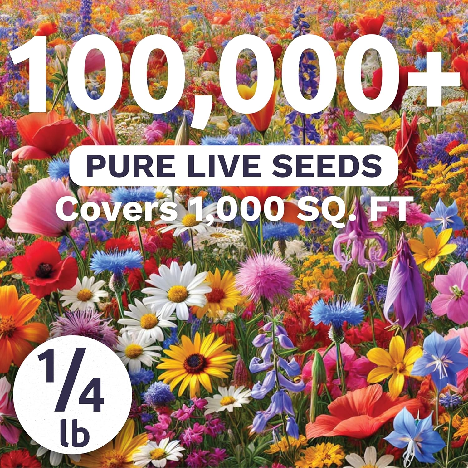 Rocky Mountain Regional Mix - Bulk 1/4 Pound Pouch - 100,000 Flower Seeds for Planting - Wildflower Mix