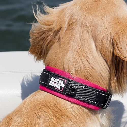 Miniatura 2 de Black Rhino - The Comfort Collar - Collar de perro acolchado de neopreno ultra suave para todas las razas. Resistente, ajustable, reflectante y