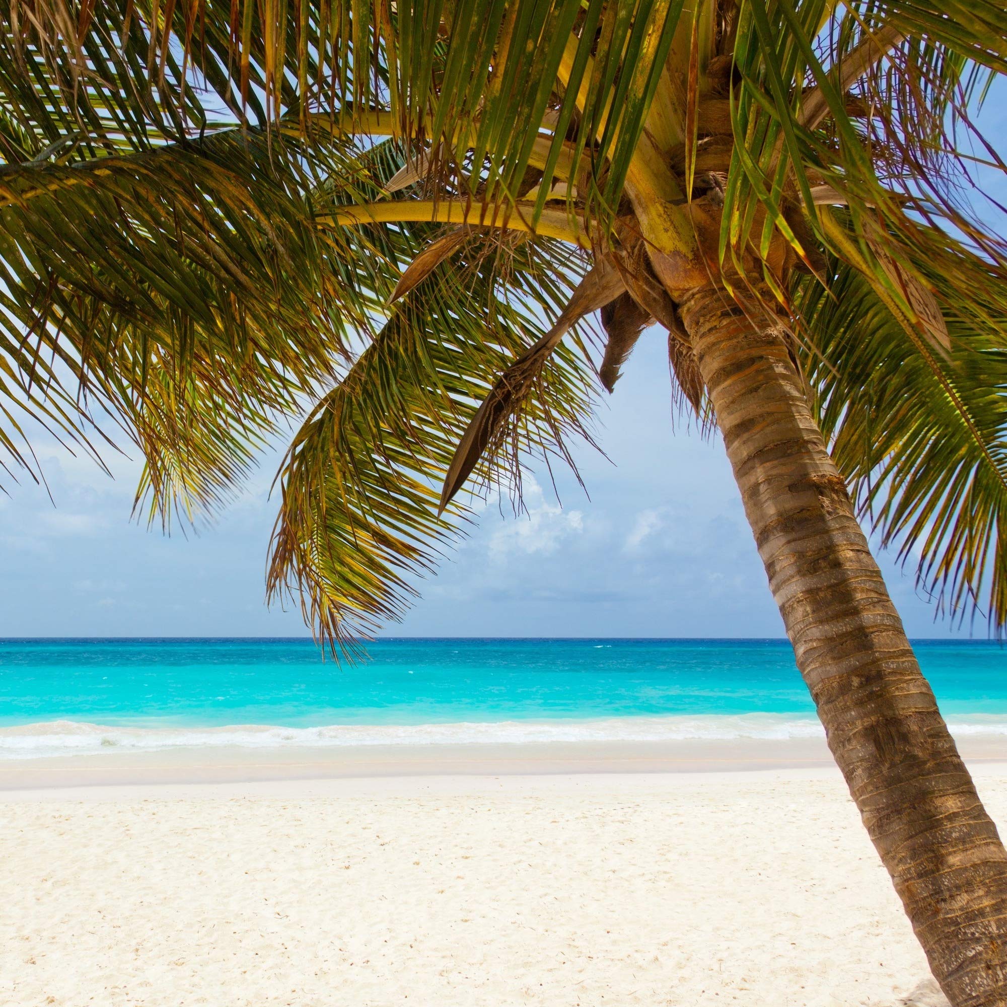 Sounds of Nature Relaxation, Musica para Estudiar Academy, Entspannungsmusik