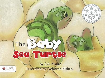 The Baby Sea Turtle