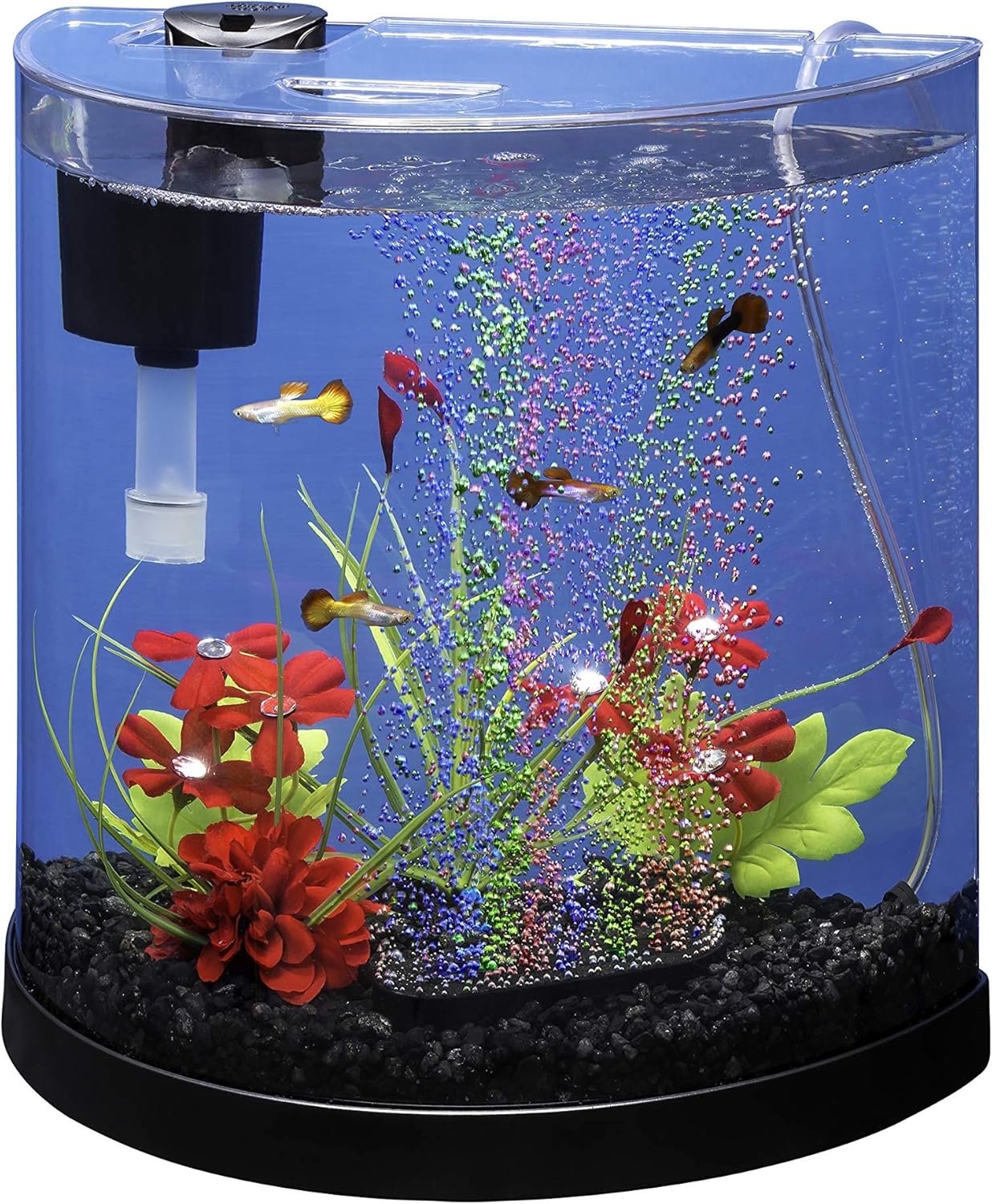 Buy Tetra ColorFusion Starter aquarium Kit 3 Gallons, HalfMoon Shape
