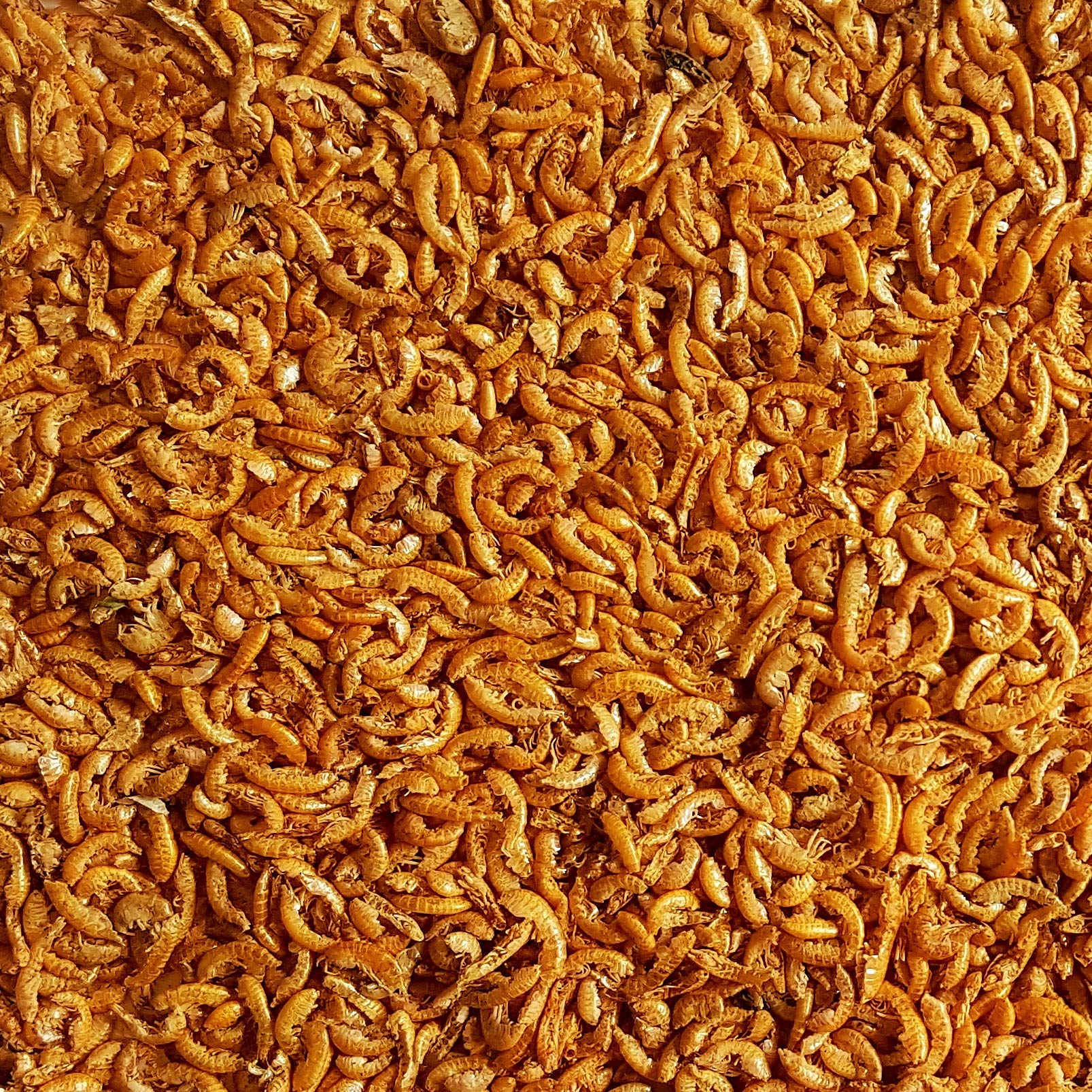 Freeze Dried Gammarus Shrimp - Fish Food Turtle Terrapin Koi Tropical Protein (1kg)