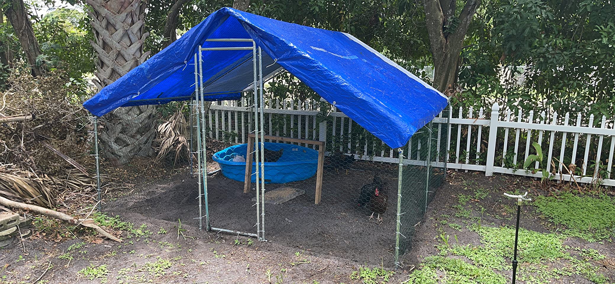 48/mo Finance CHIKENCOOP Large Metal Chicken Coop Walkin Poultry Cage Chicken Runs for Yard