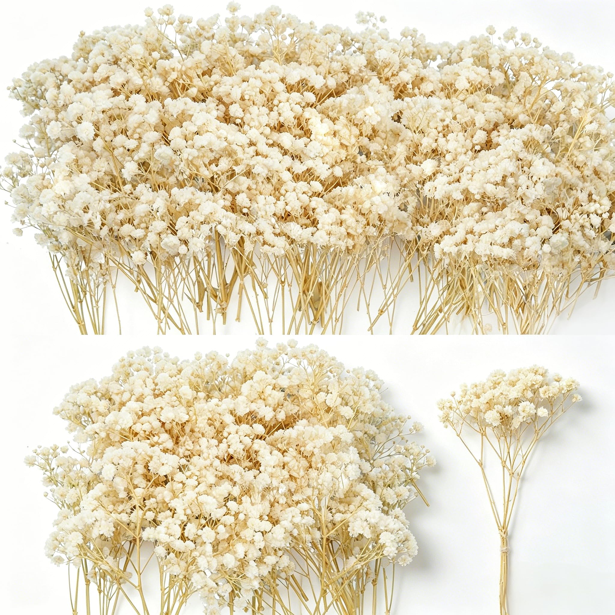 View 1 of 3000+ Mini Dried Baby's Breath Flowers 6'', Natural Ivory White Flowers