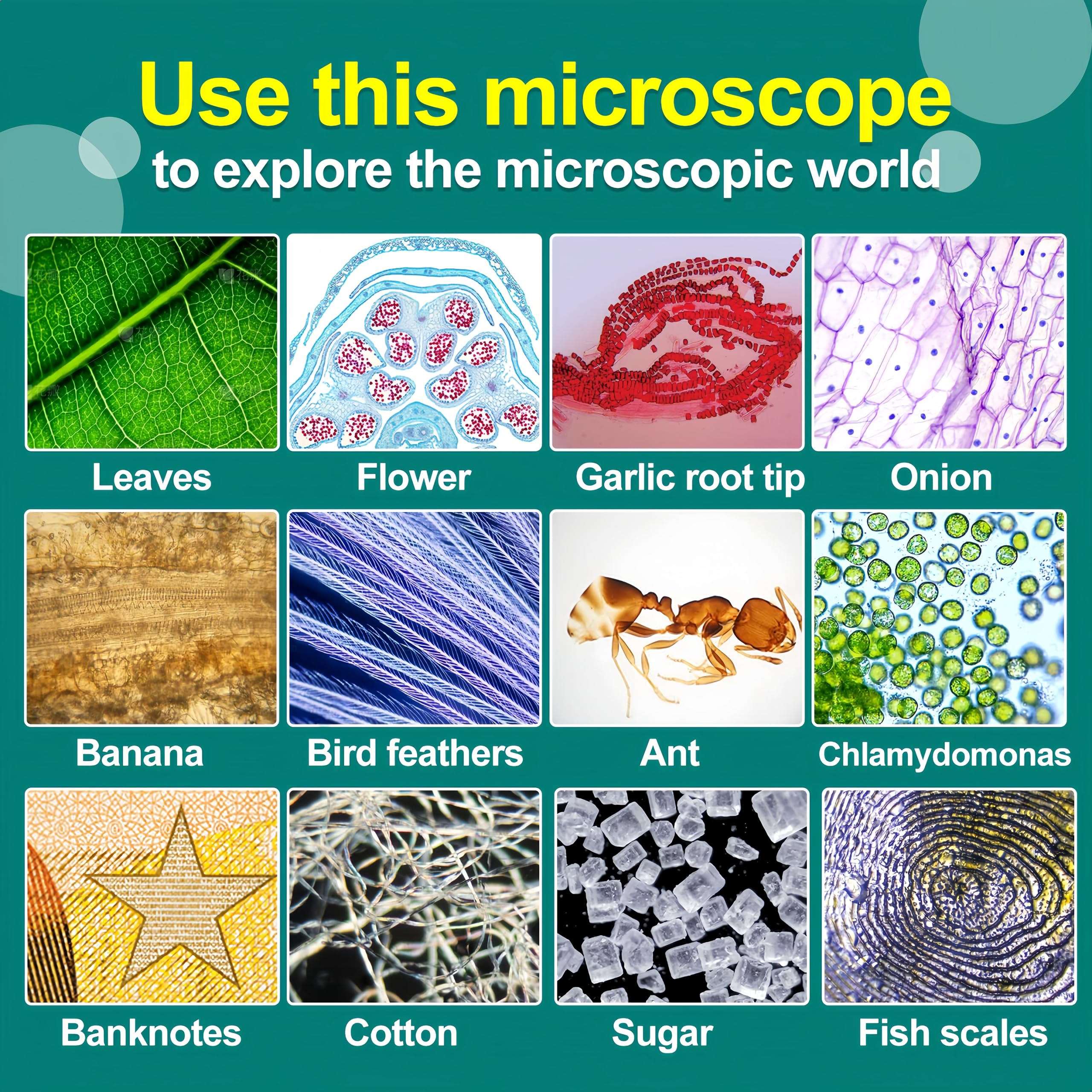 KinZon Microscope 3 en 1 pour enfants, jouet scientifique éducatif