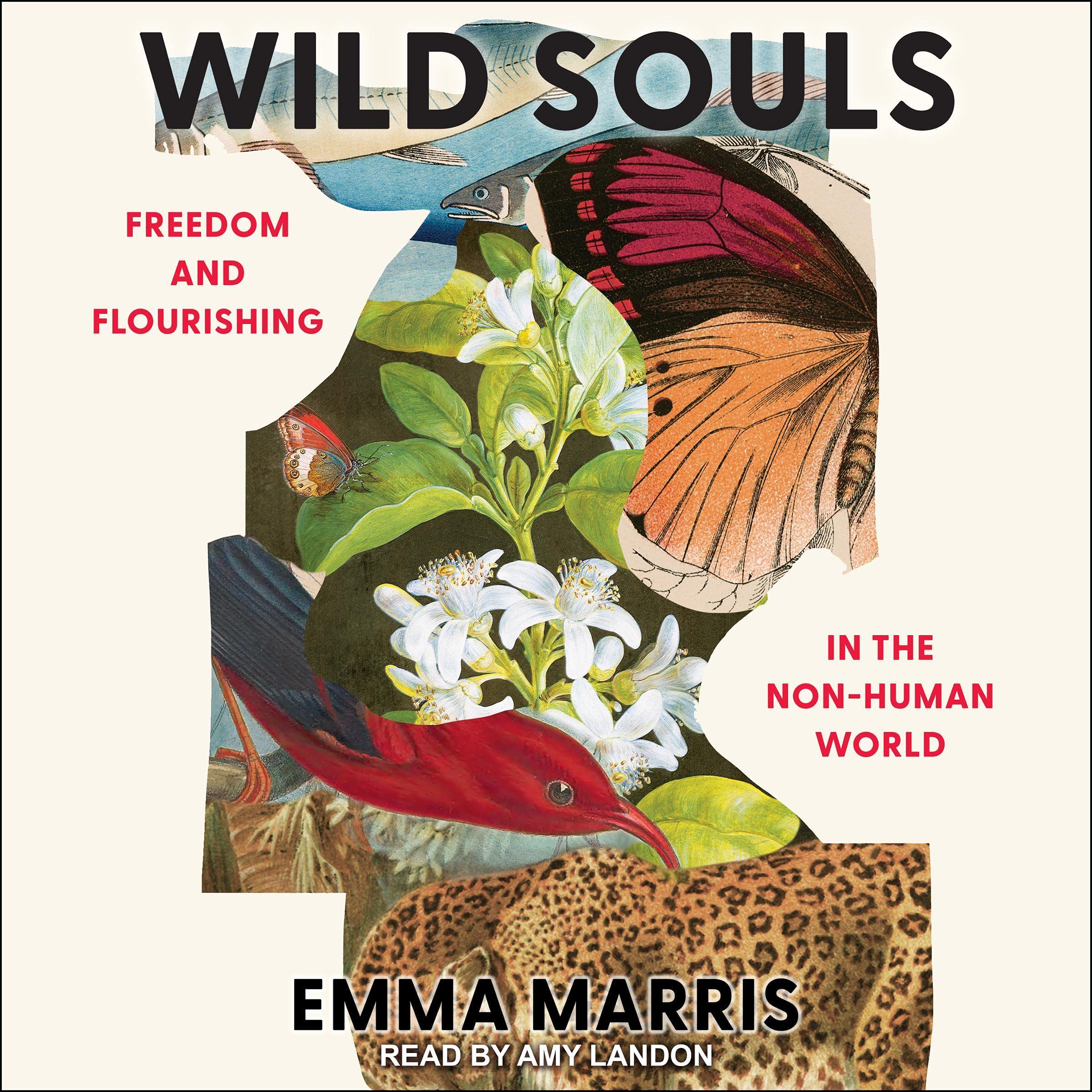 Cover art for Wild Souls