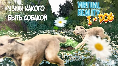 Virtual Reality I - Dog