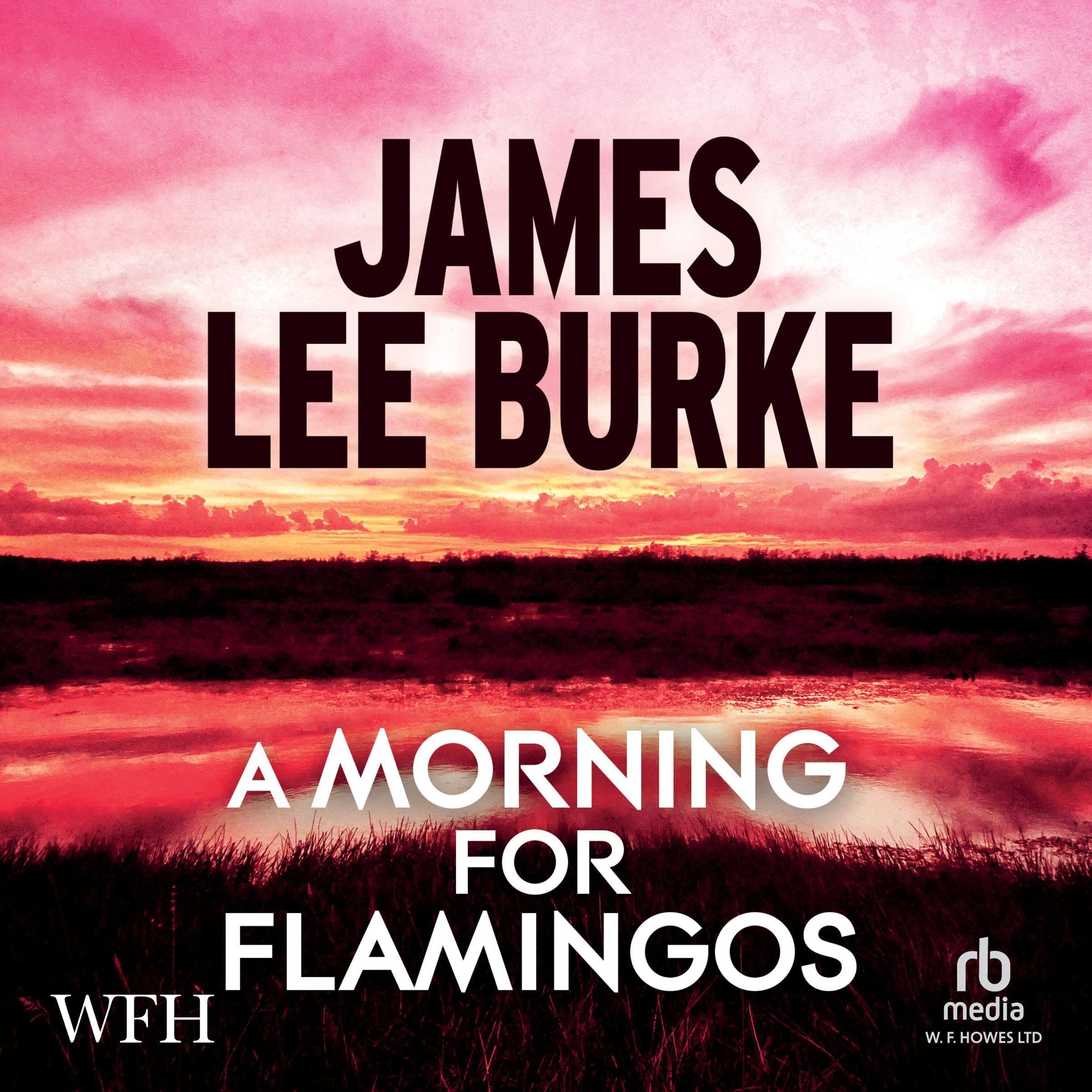 Cover art for A Morning for Flamingos