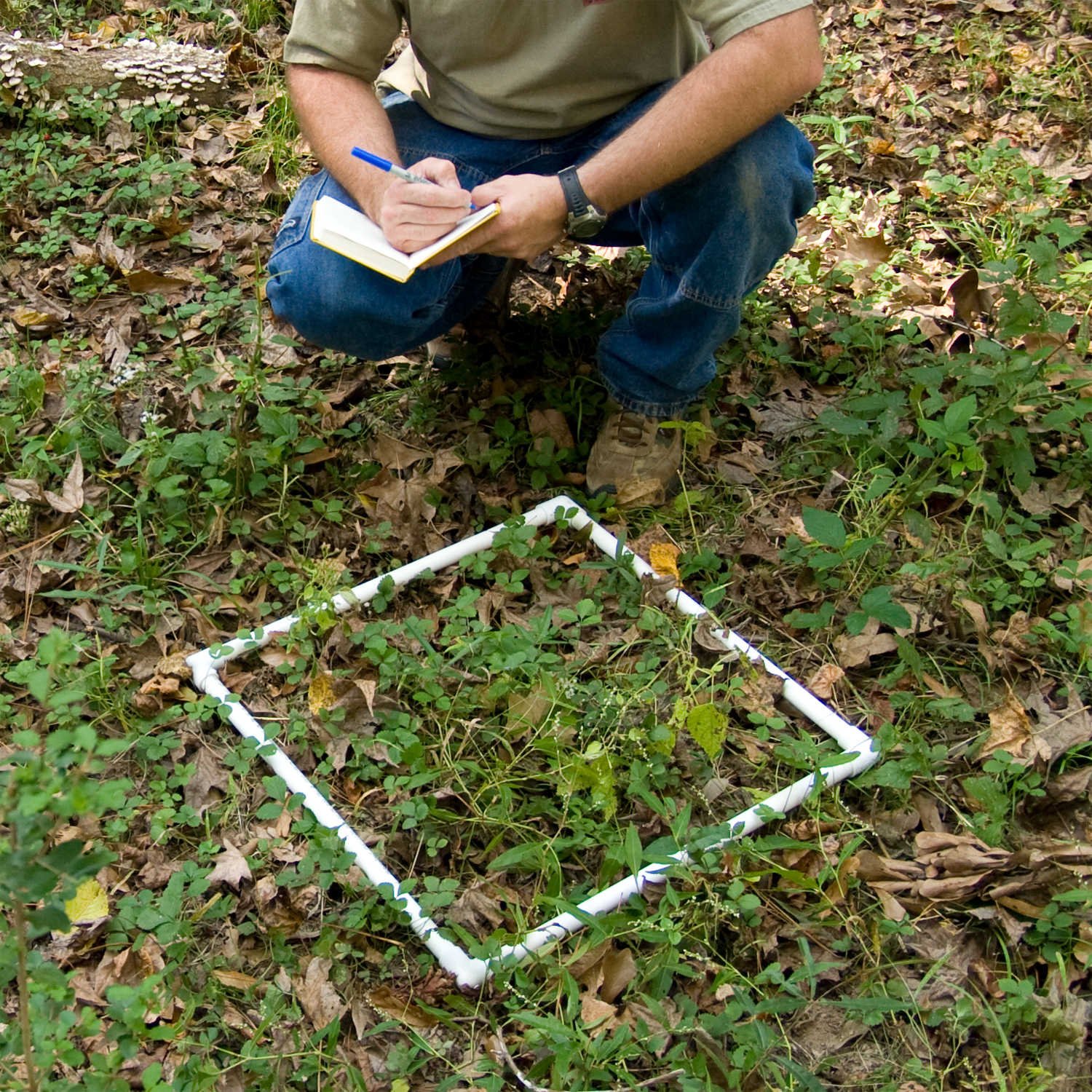 Forestry Suppliers Collapsible Sampling Square, 0.25 Meter
