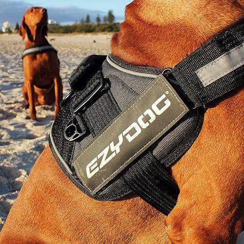 Miniatura 6 de EzyDog Insignia lateral  Identifica claramente a tu perro cuando llevas el arnés para perro Convert  Juego de dos insignias (perro de servicio,