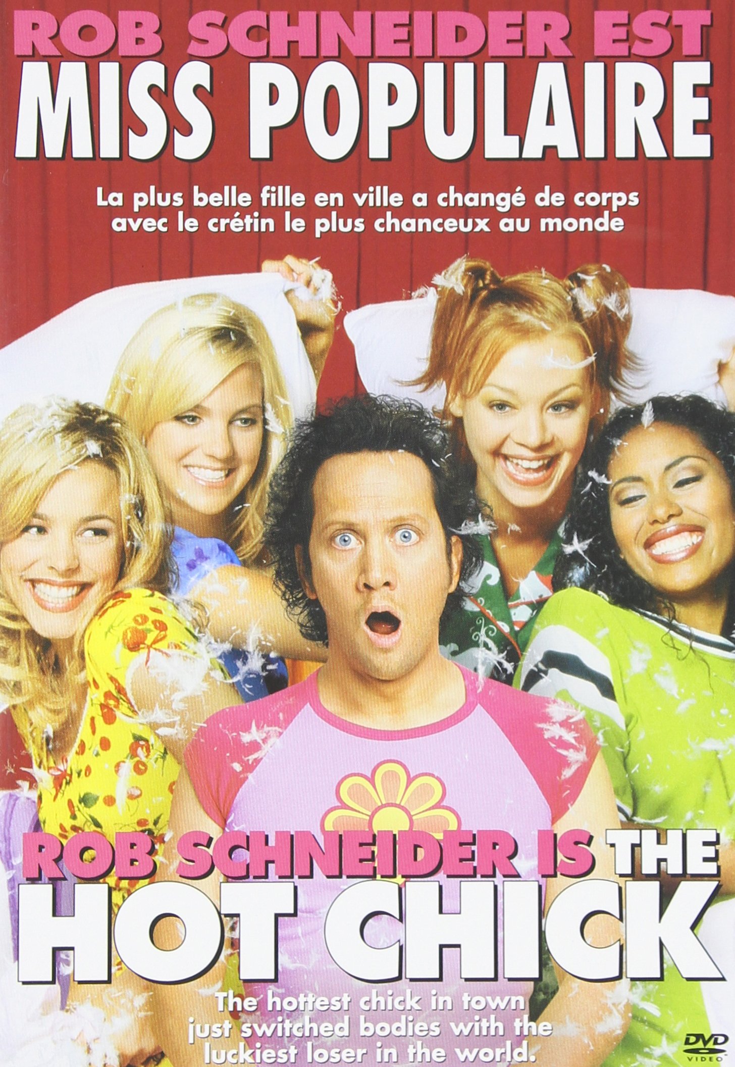 The Hot Chick [DVD]