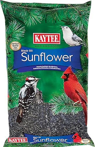 Kaytee Alimento de girasol con aceite negro de aves silvestres