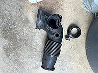 Review Image by Carlito Carlito