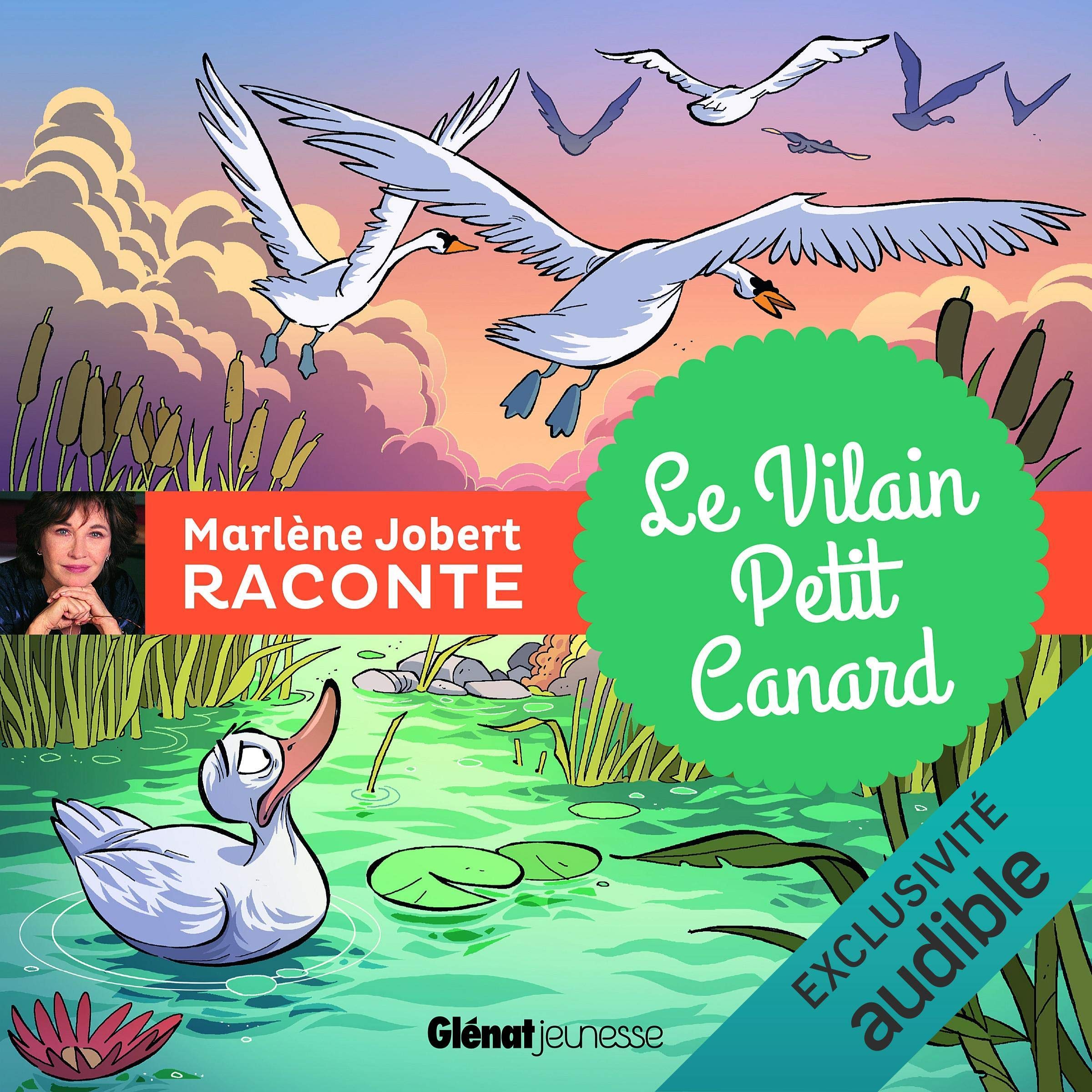 Cover art for Le vilain Petit Canard