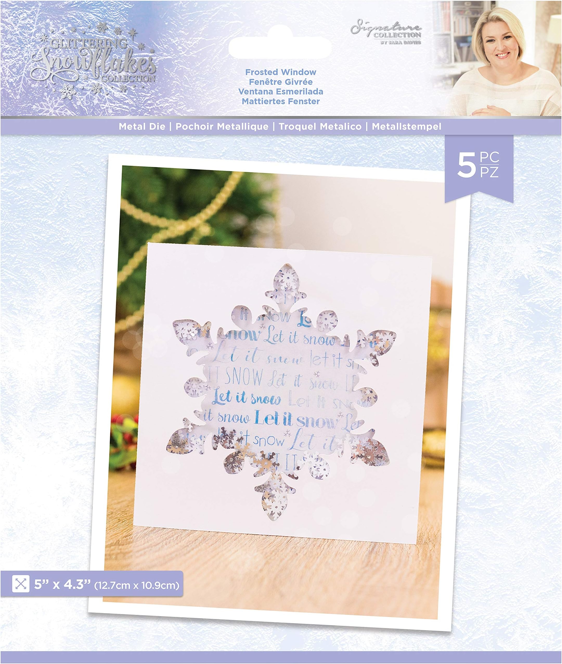 Sara Signature S-GS-MD-FRWI Glittering Snowflakes Collection-Metal Die-Frosted Window, Silver