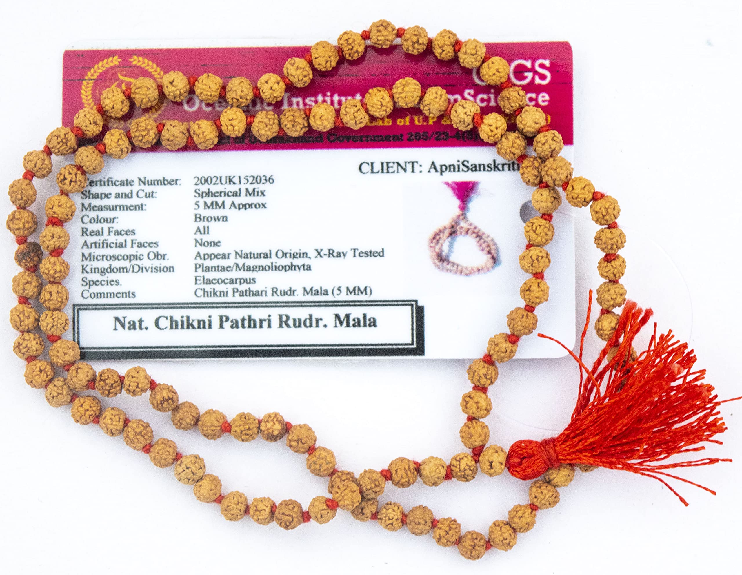 Apnisanskriti Lab Certified 5 Mukhi CHIKNI PATHRI Rudraksha Mala for Men/Women Wearing (6mm, Medium Bead Size, 108+1) - A+ Grade - 100% Natural Brown Rudraksh Beads - Pack of 1 (B08D117LTX) Amazon Price History, Amazon Price Tracker