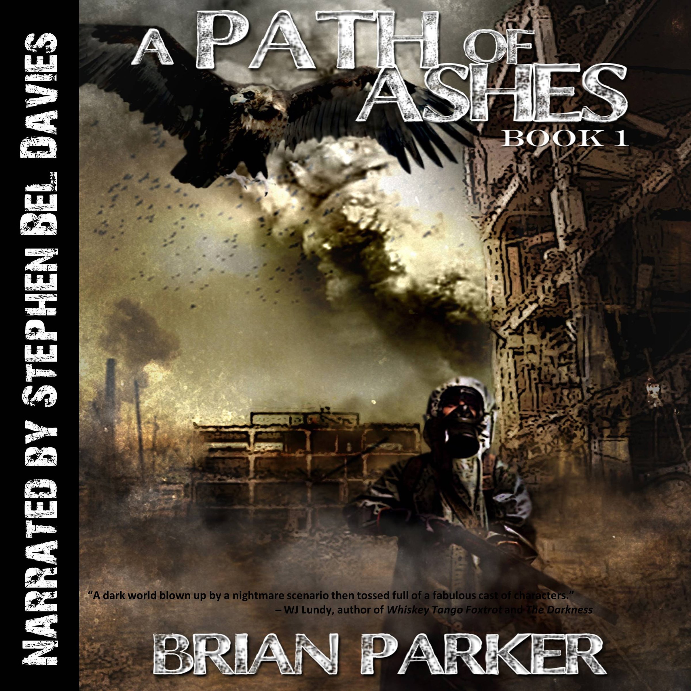 Cover art for A Path of Ashes