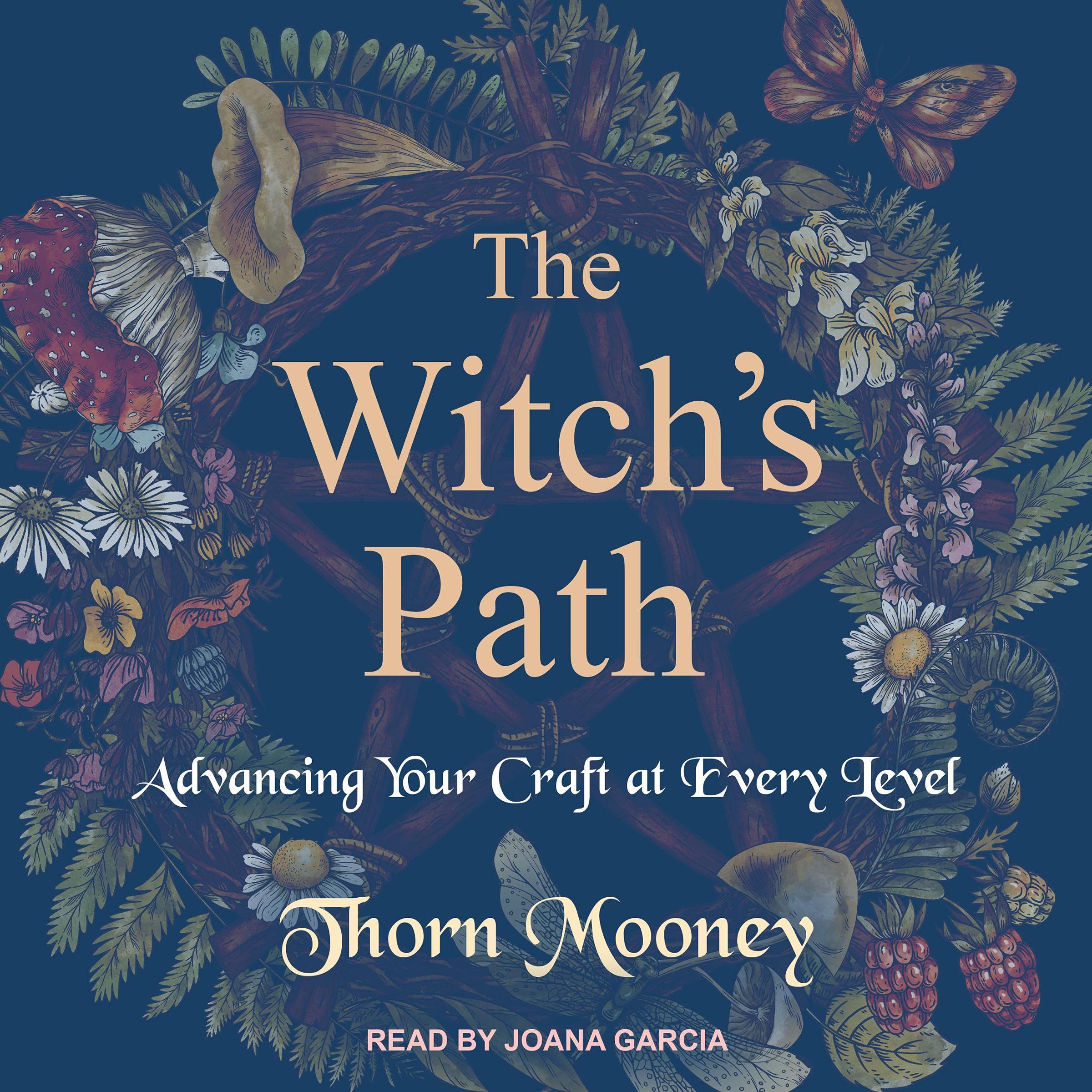 Cover art for The Witch's Path