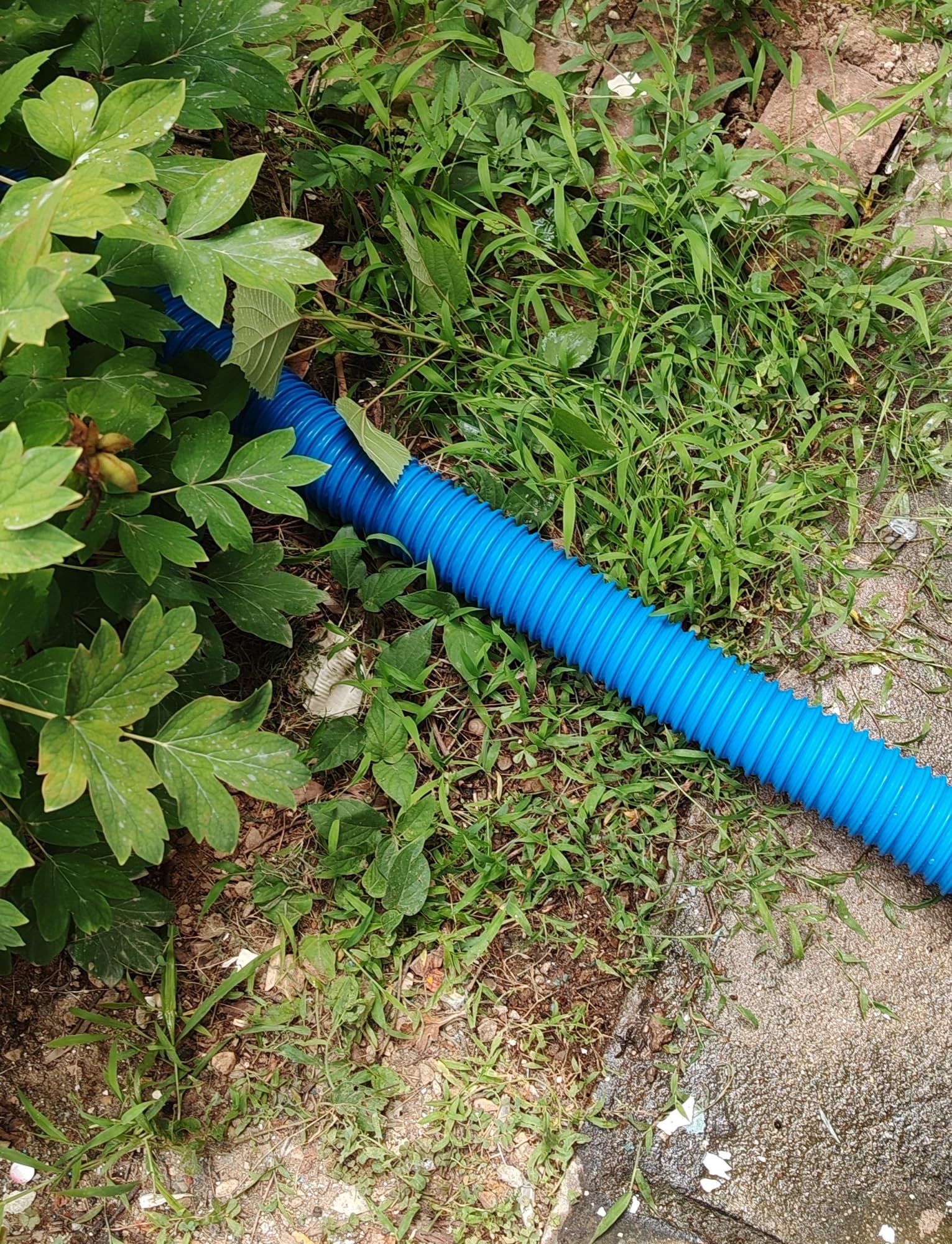 Manguera Flexible Azul, Manguera De Extracción De Humos De Vacío, 100 Cm 3-30 Cm, Tubo De Succión De Polvo Industrial, Conector Blando, para Eliminación De Polvo (12,5 Cm)
