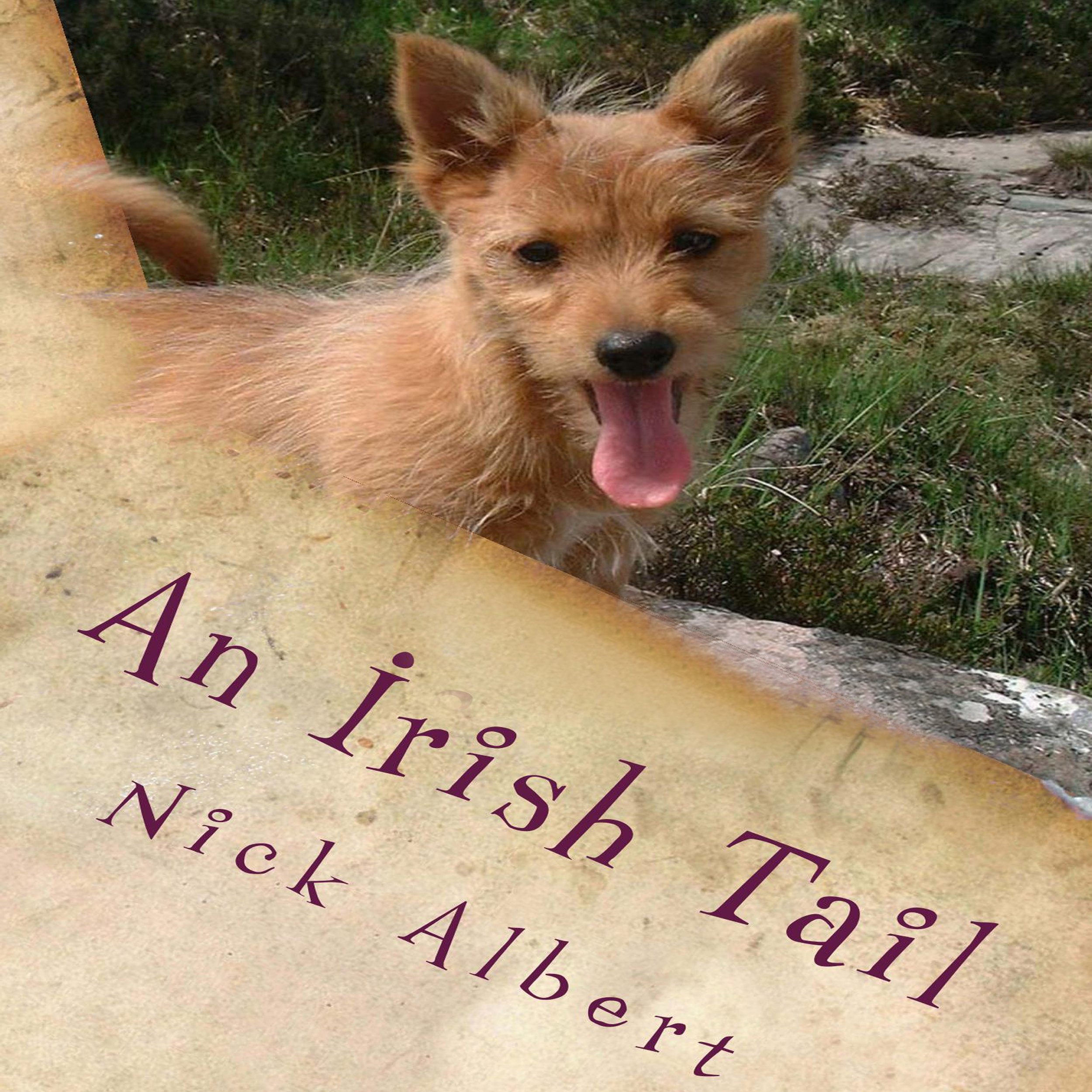 An Irish Tail
