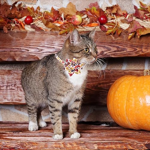 Miniatura 8 de ADOGGYGO Breakaway Collar de gato con campanas, paquete de 2 collares de flores para niñas, gatos, gatitos, collar con flores extraíbles ajustables