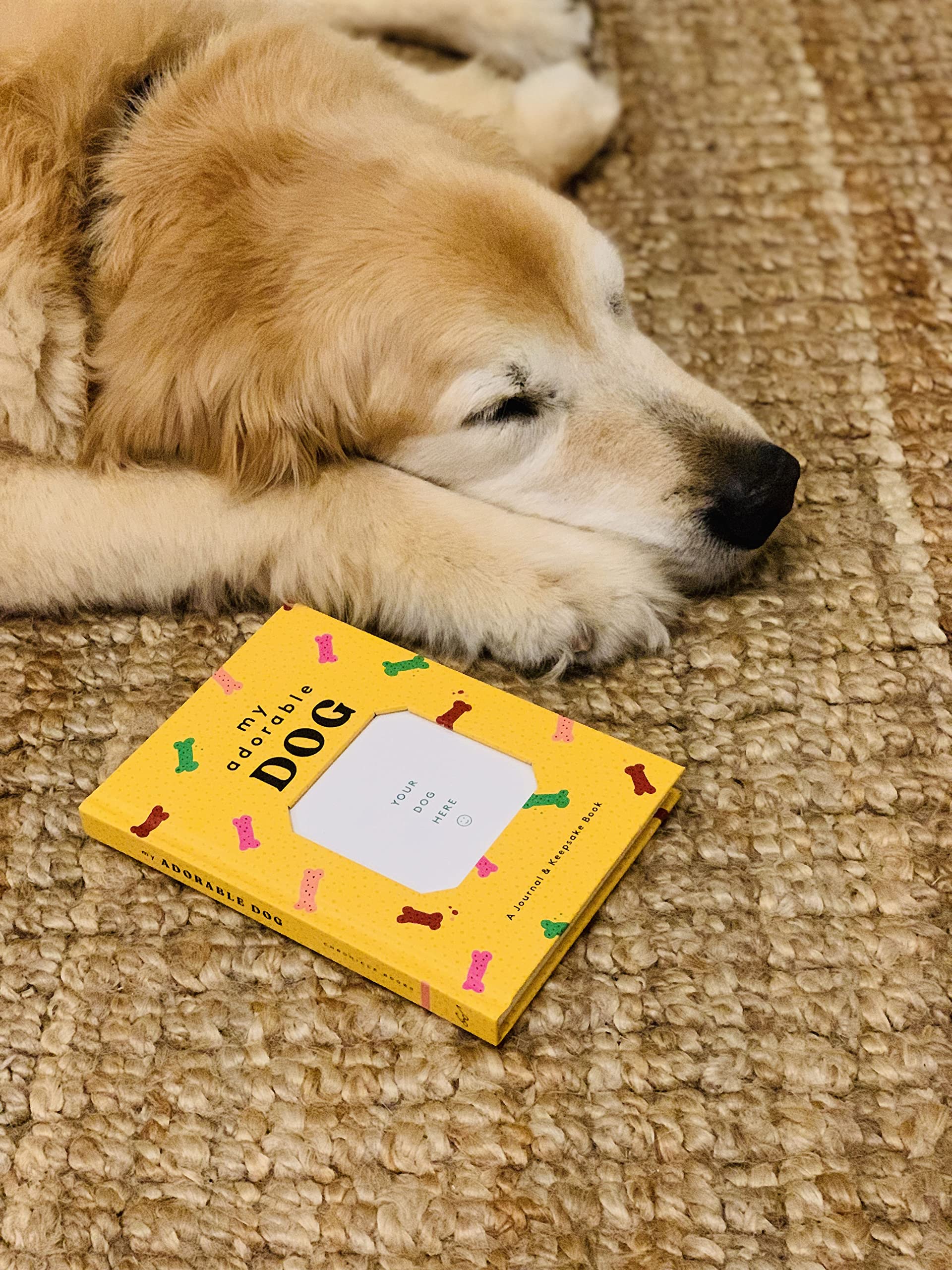 My Adorable Dog: A Journal & Keepsake Book (Dog Owner Gift book, Dog Baby Book) - Image 3