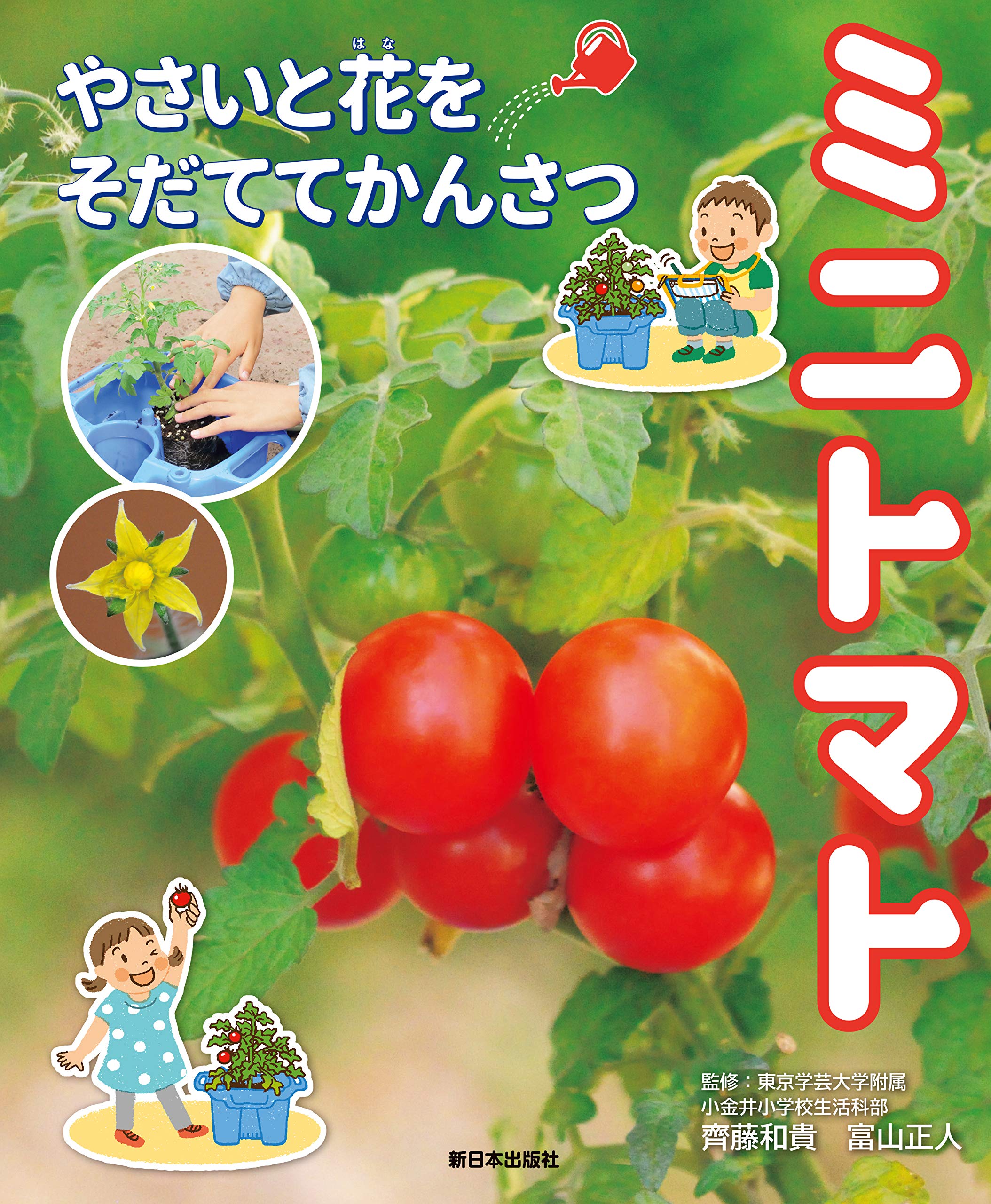 理学療法ＤＶＤトマトさん専用 理学療法DVDトマトさん専用