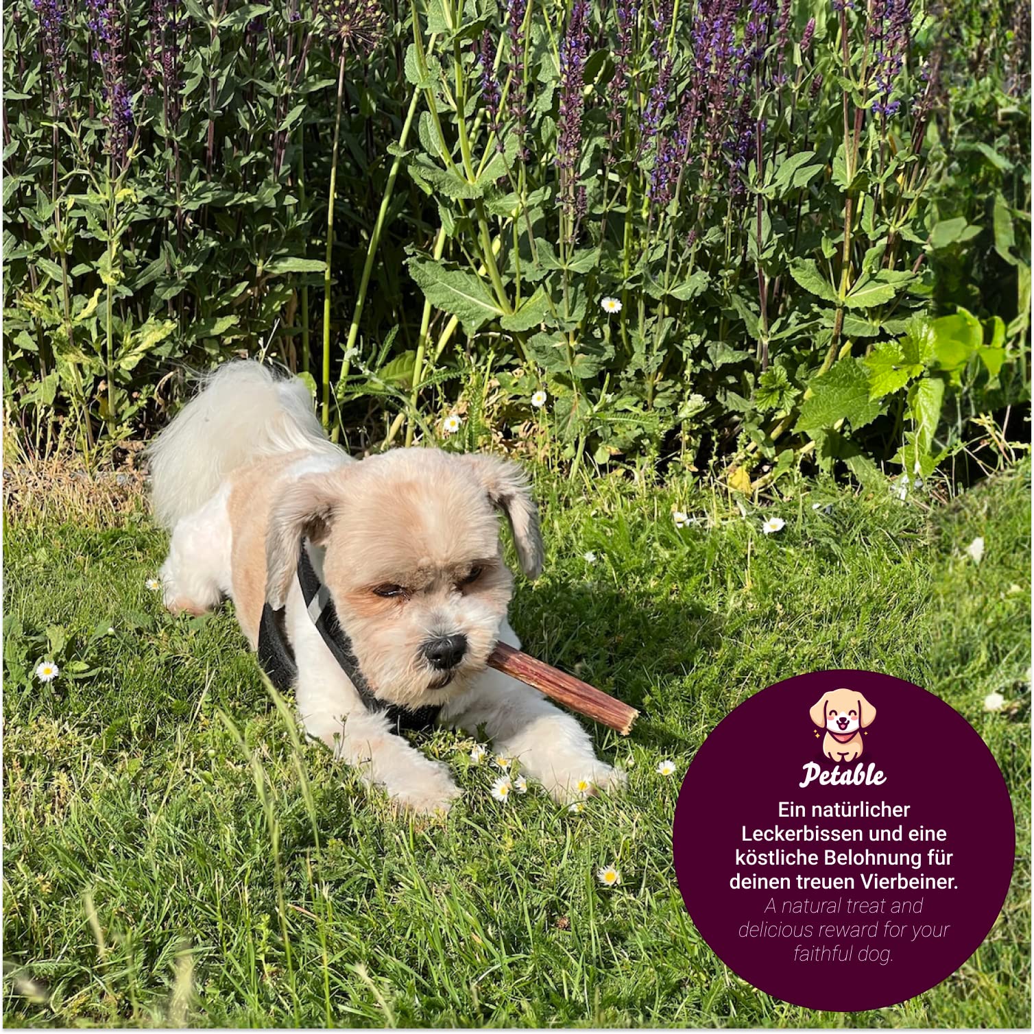 Lucze Premium Rindereuter Getrocknet – 1kg, 100% Natürliche Hundeleckerlis Für Welpen & Senioren