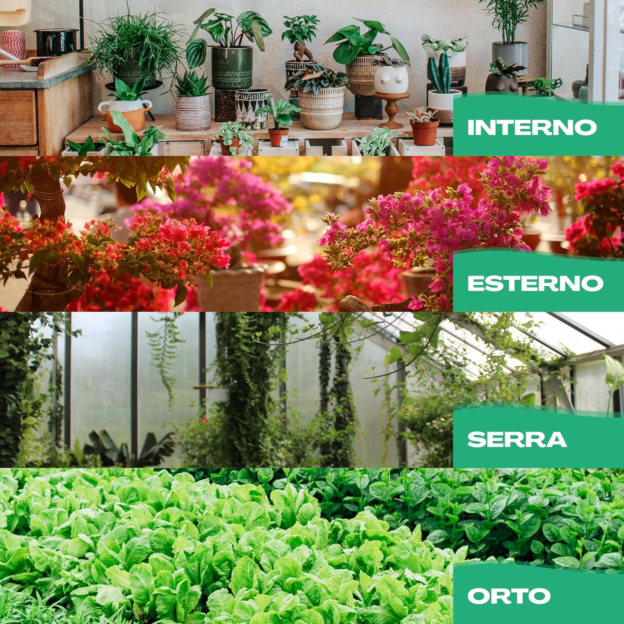 Netrox Set di 4 coni di irrigazione in argilla, ideali in vacanza, irrigazione automatica delle piante da interno, giardino e balcone, irrigazione, sistema di irrigazione, erogatore di acqua, piante