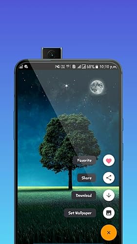 WallpaperX - HD Wallpaper & 4K Wallpapers