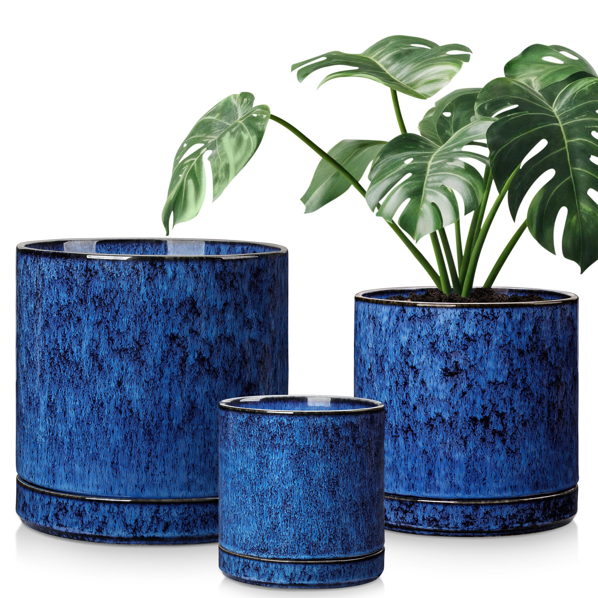 vancasso Ceramic Planters