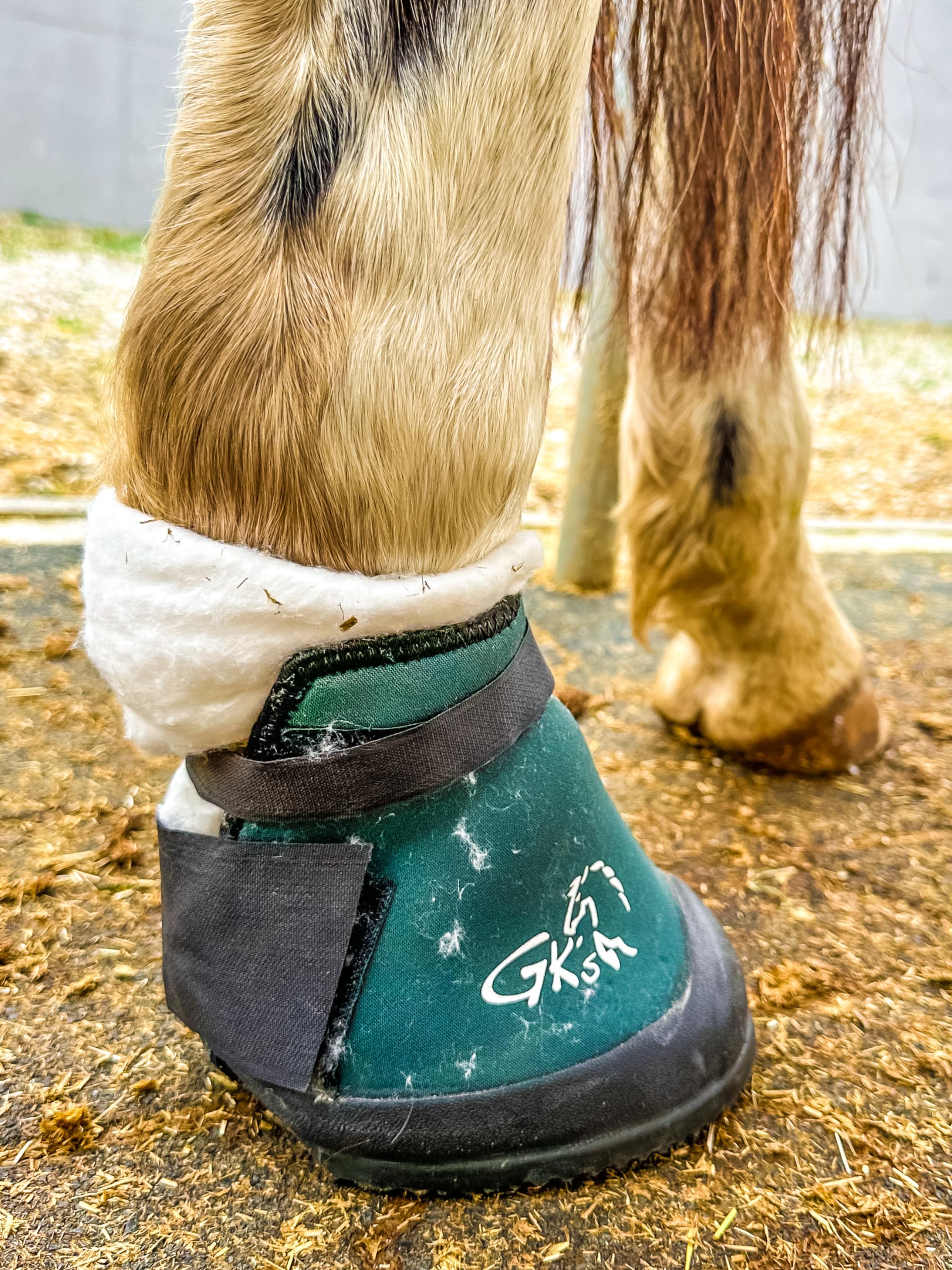 GK´s Hufschuh, Krankenschuh für das Pferd aus Österreich Bekannt aus dem TV aus speziellem Neopren, Einer rutschfesten Hartgummisohle und Einer Einlagesohle aus Naturkautschuk (XS)