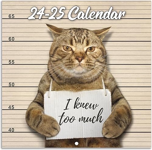 Calendario de pared 2024-2025, calendario divertido de gatos 2024-2025, abril de 2024 a junio de 2025, calendario de 15 meses, regalo de broma