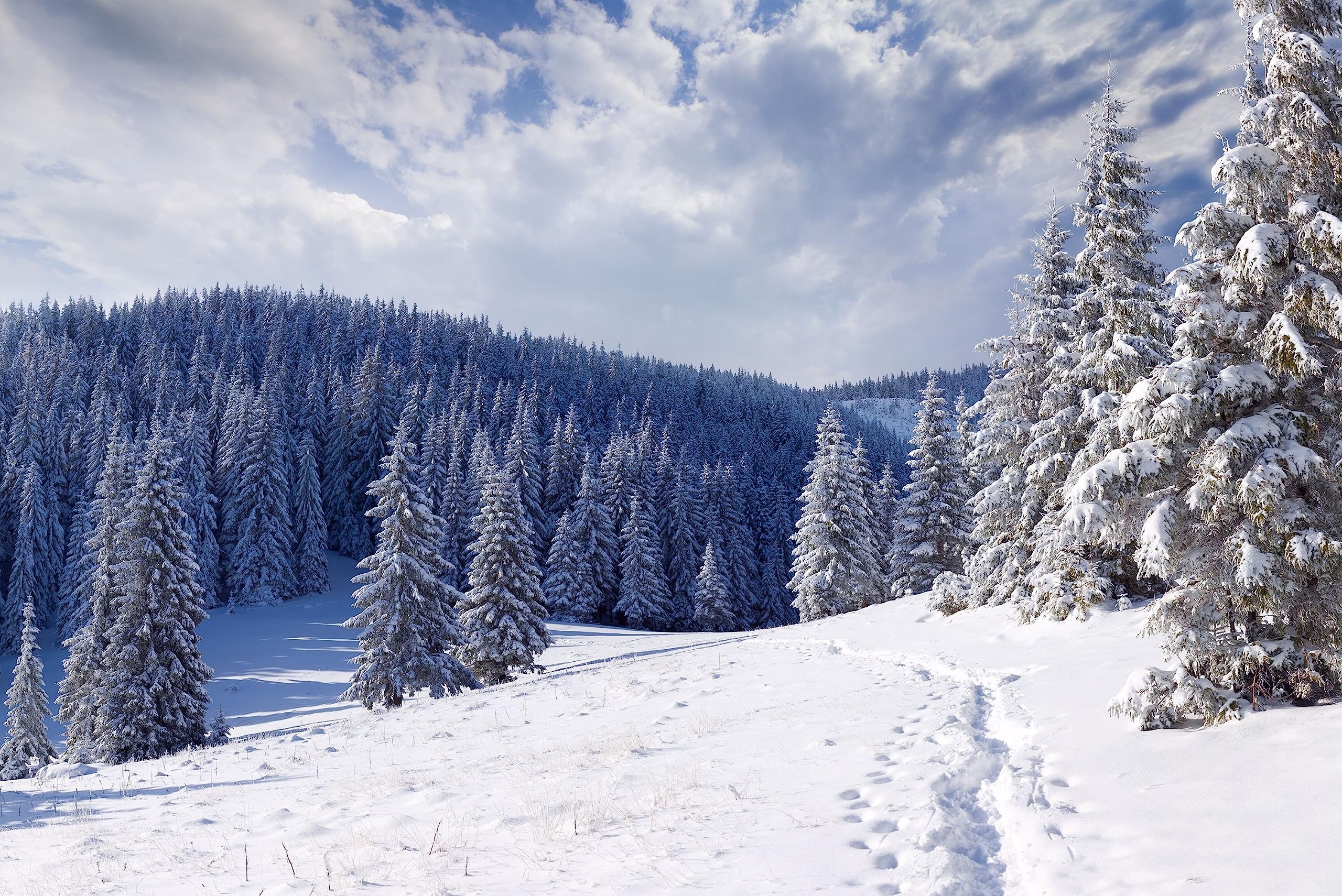 Leinwand-Bild 80 x 50 cm: Schöne Winterlandschaft in den Bergen (15256207)  : Amazon.de: Küche, Haushalt & Wohnen