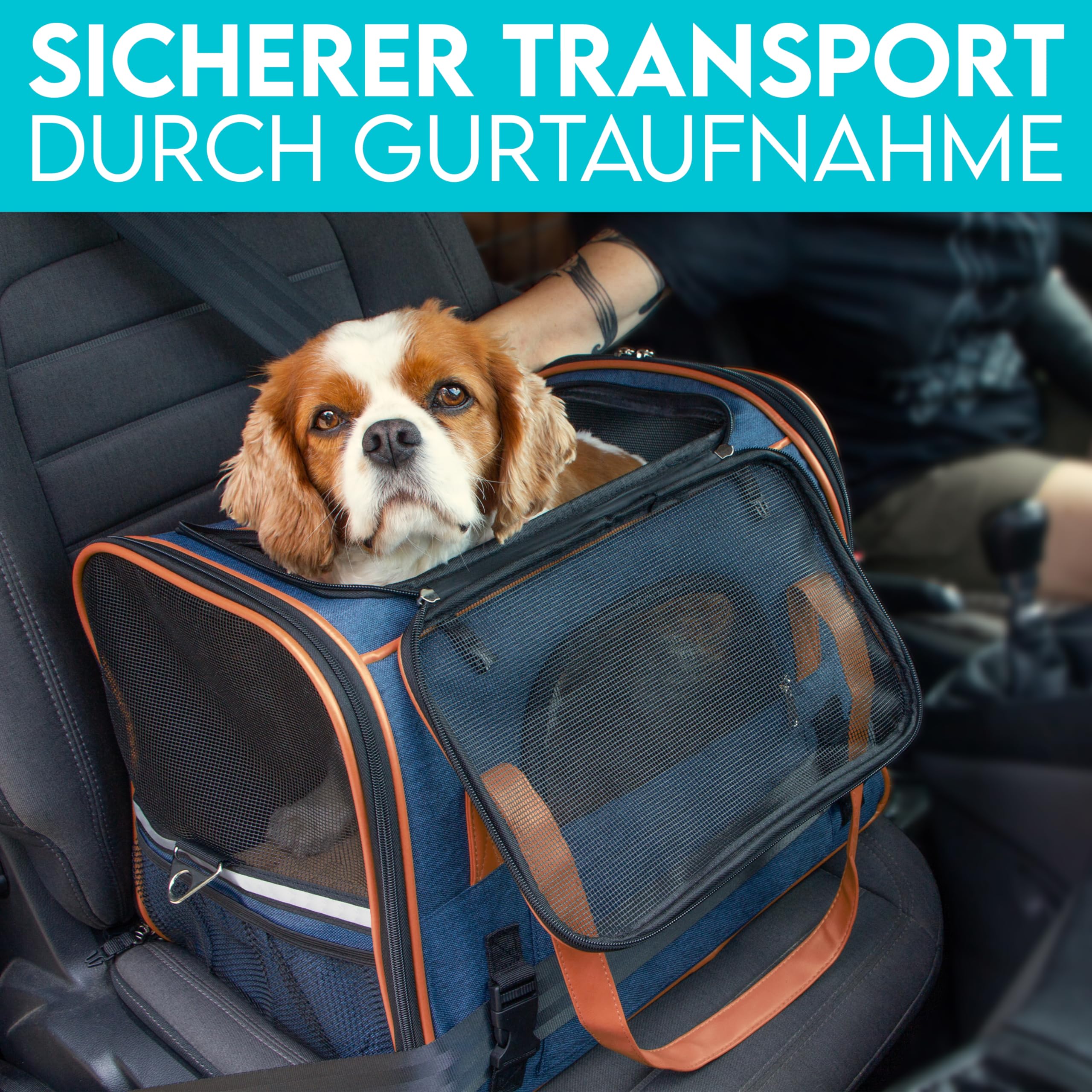 HUND IST KÖNIG Hundetasche & Katzentasche bis 8kg - Hochwertige Hundetragetasche - Transporttasche für Katzen - Faltbare Mobile Tragebox für Hunde & Katzen