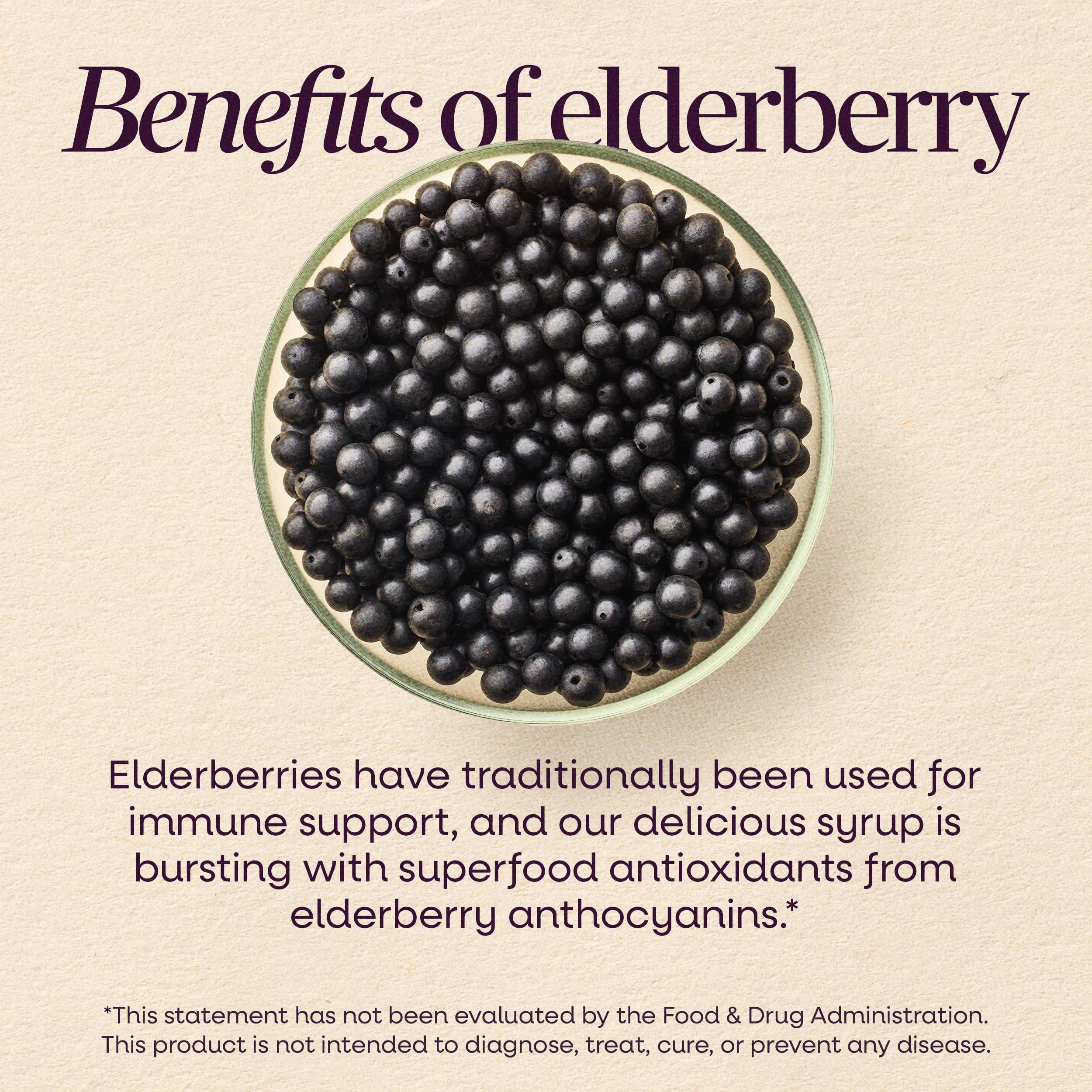 Nature's Way Sambucus Kids Immune Elderberry Syrup, Echinacea & Propolis — Amazon image 4