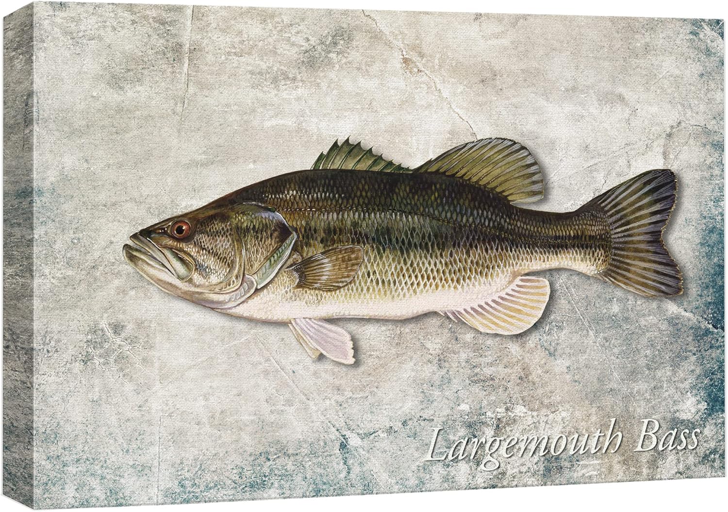 wall26 Framed Canvas Print Wall Art Largemouth Bass Fish on Granite Background Marine Life Animals Digital Art Realism Nautical Scenic Colorful Ultra for Living Room, Bedroom, Office - 16"x24"
