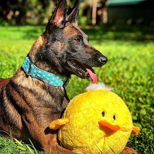 Miniatura 9 de St Patrick's Day Donuts Collar for Pets Size Extra Large 1.5 Inch Wide and 17-25 Inches Long - Hand Made Dog Collar by Oh My Paw'd