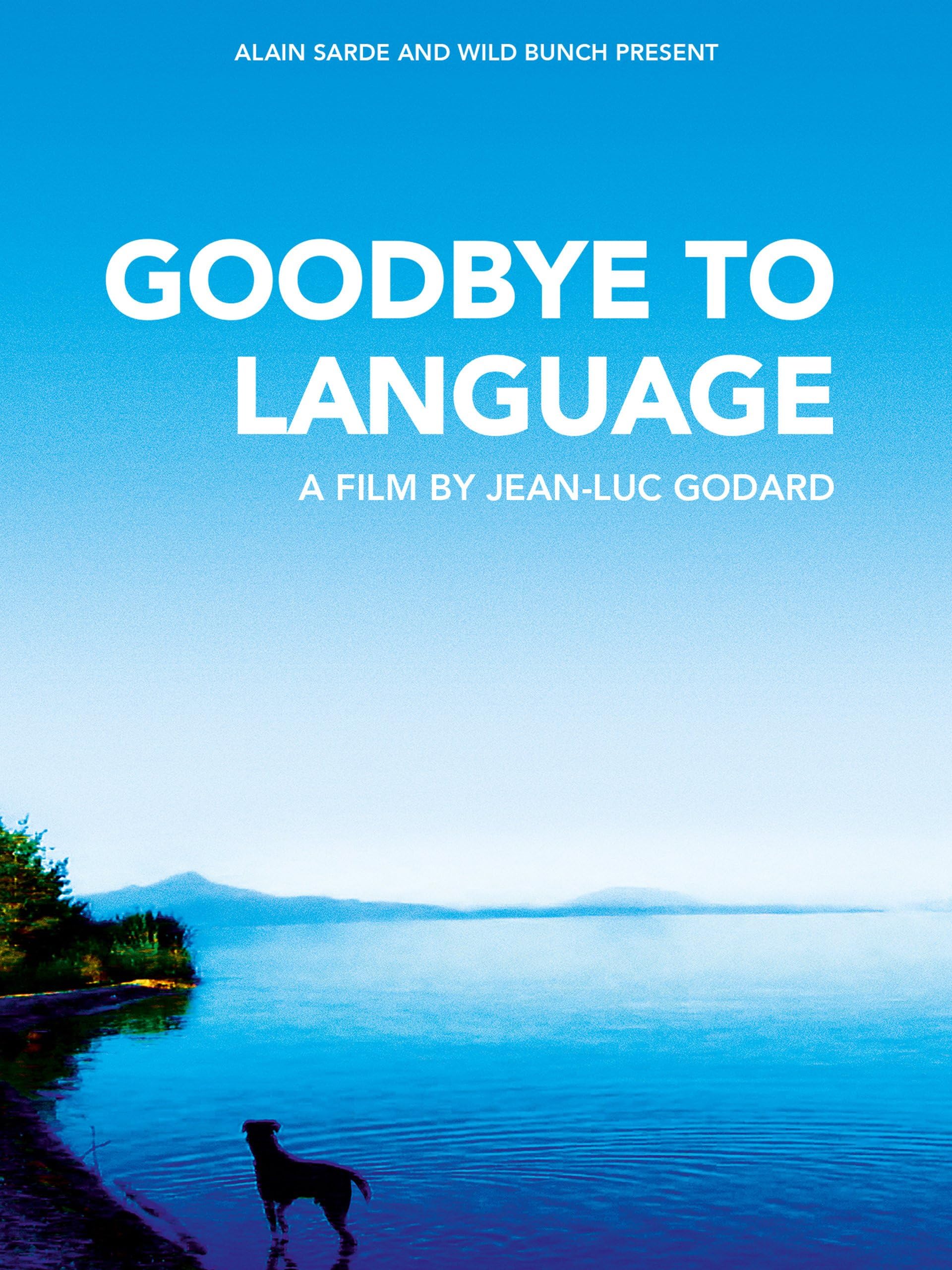 Goodbye To Language