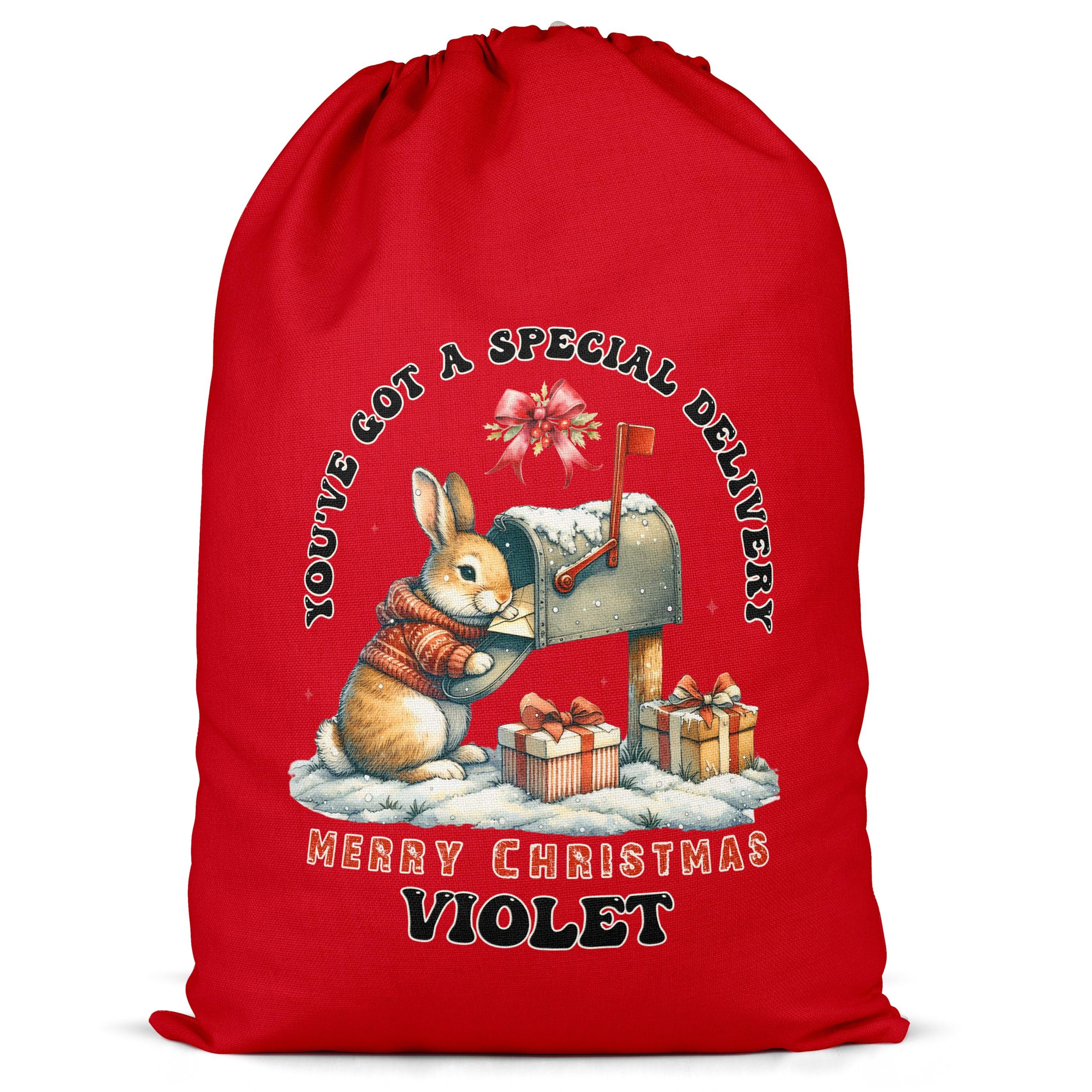 Purple Print House You've Got A Special Delivery Present Sack For Kids Personalised Bunny Christmas Festive Kids Xmas Gift Bag, XL, Red
