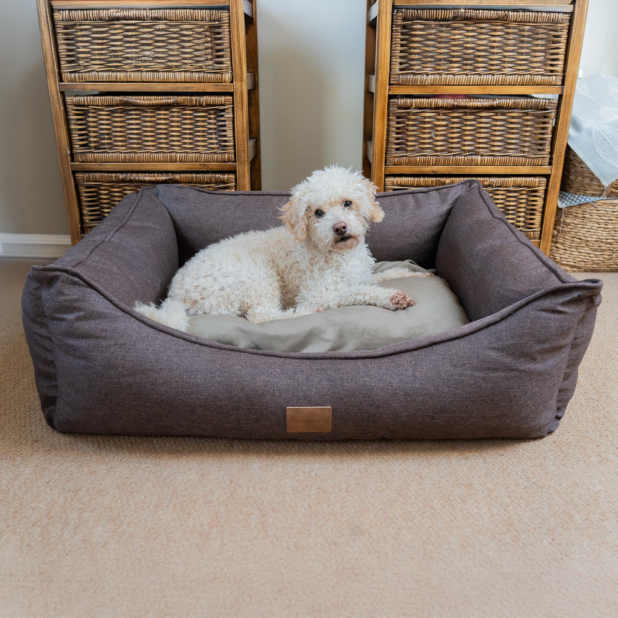 allpetsolutions Willow Premium Luxury Range Dog Bed - Warm, Velvety Cushion, Machine Washable Dog Bed with Raised Rim - Extra Soft Reversible, Removable Pillow Cushion - Extra Large, Brown