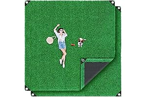 2 Pcs 10 x 10 ft Premium Turf Carpet Outdoor Artificial Grass Turf Area Rug