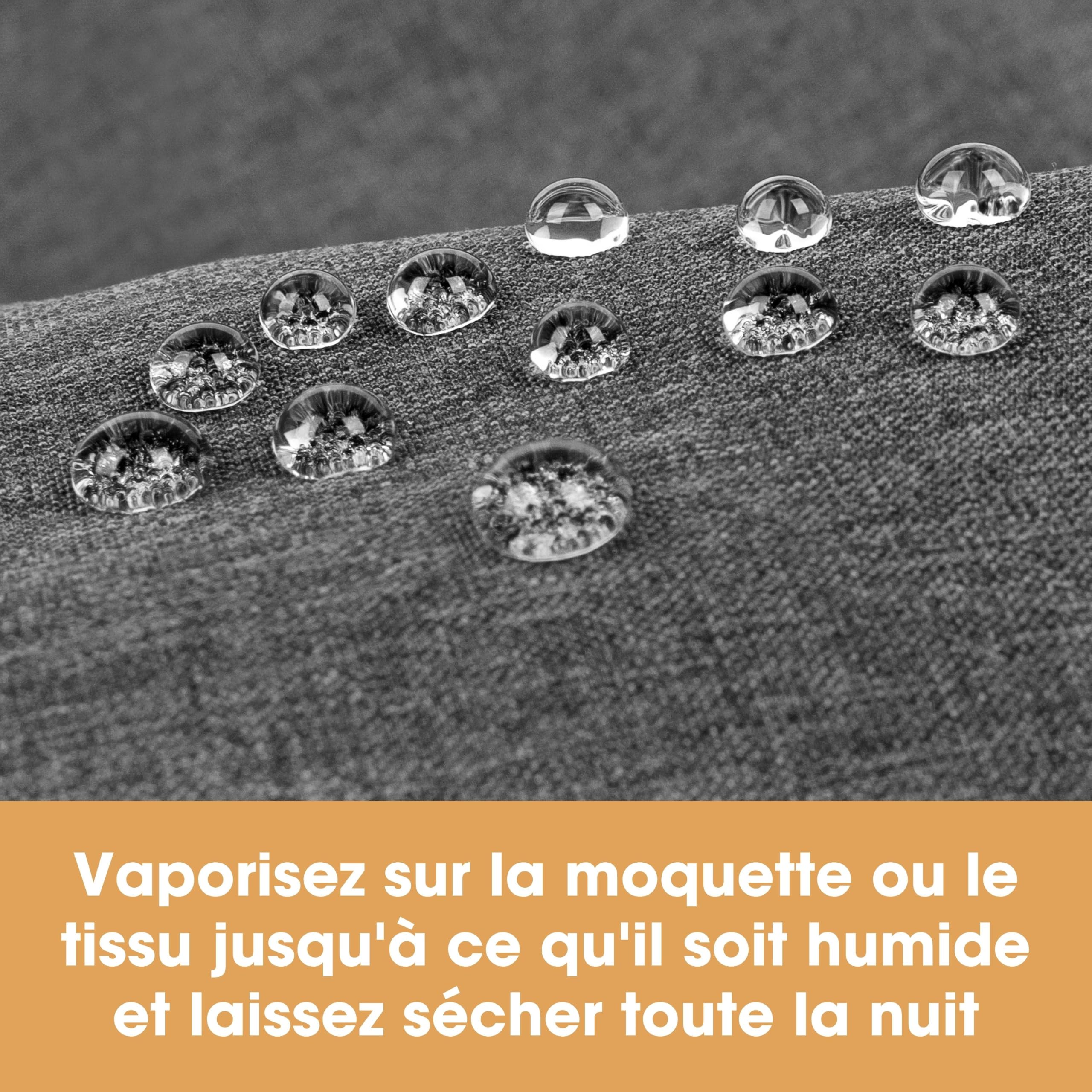 Furniture Clinic Spray protecteur pour tapis et tissus d'ameublement - Repousse toutes les taches et l'eau - Spray protecteur pour tissus d'ameublement, tapis, canapés, sièges de voiture - 5 L