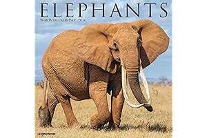 Elephant Lovers 2024 Wall Calendar