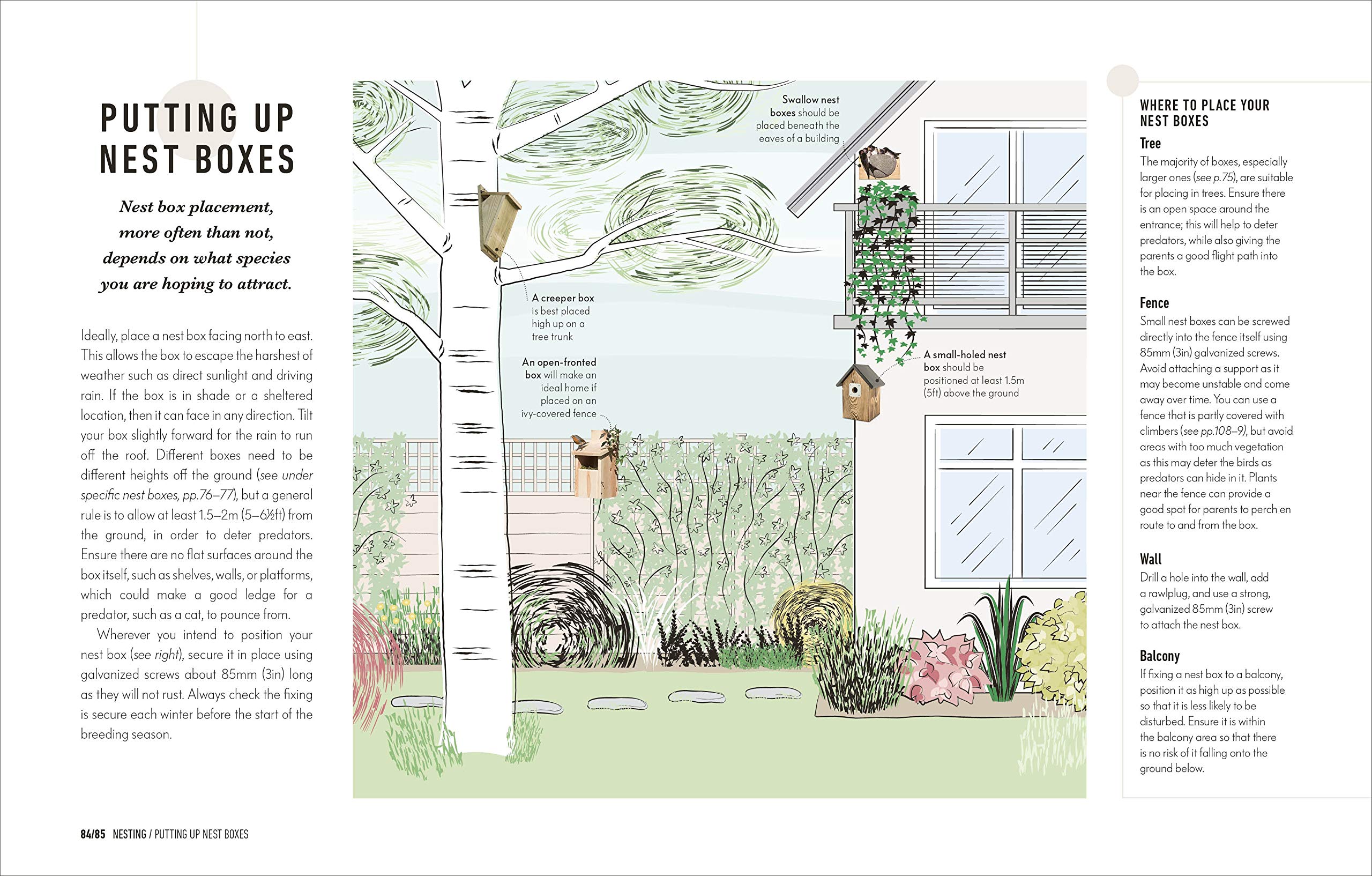 How to Attract Birds to Your Garden: Foods they like, plants they love, shelter they need