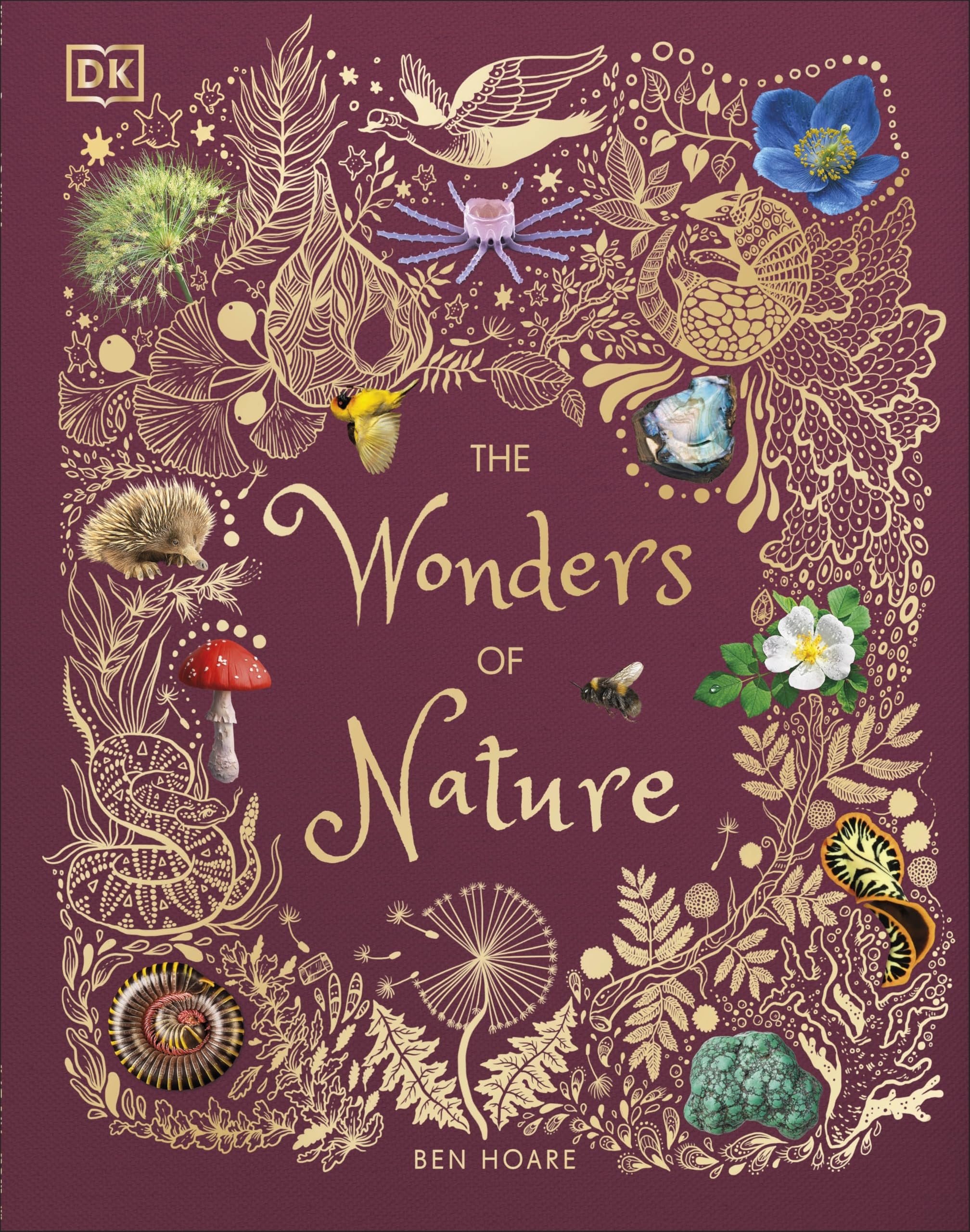 The Wonders of Nature (DK Children's Anthologies) Hardcover – 5 Sept. 2019