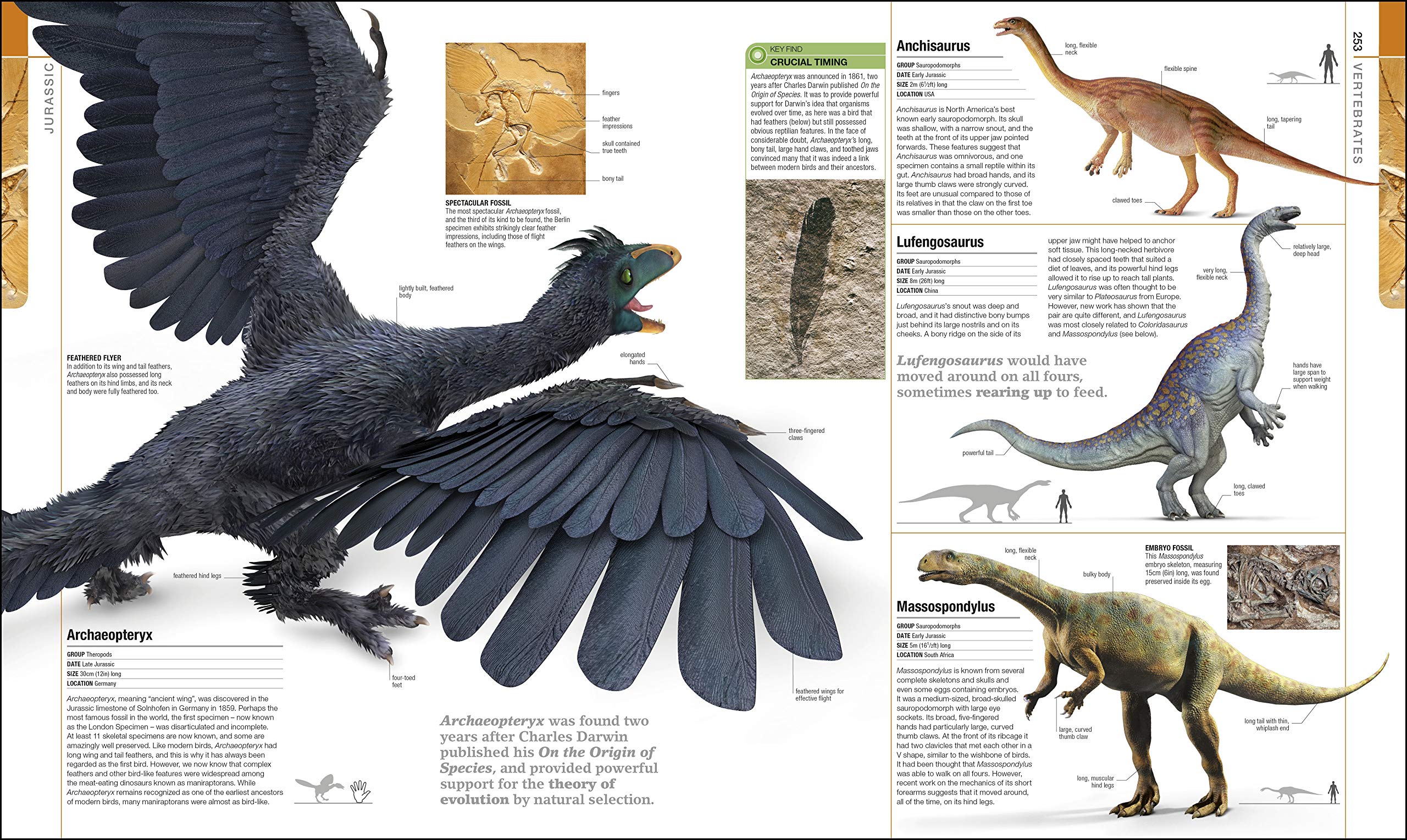 Dinosaurs and Prehistoric Life: The Definitive Visual Guide to Prehistoric Animals