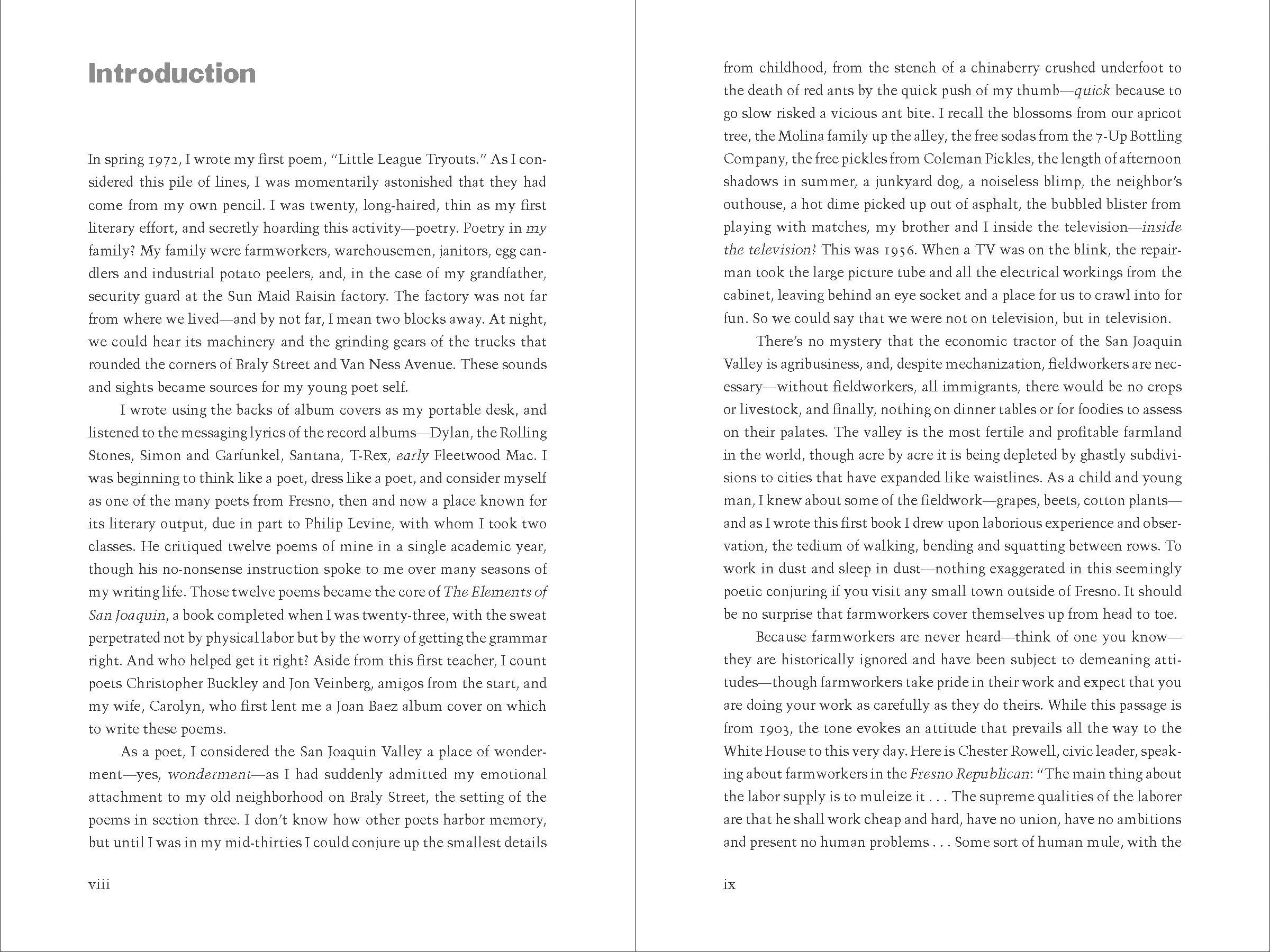 The Elements of San Joaquin: poems (Chicano Poetry, Poems from Prison, Poetry Book) - Image 3