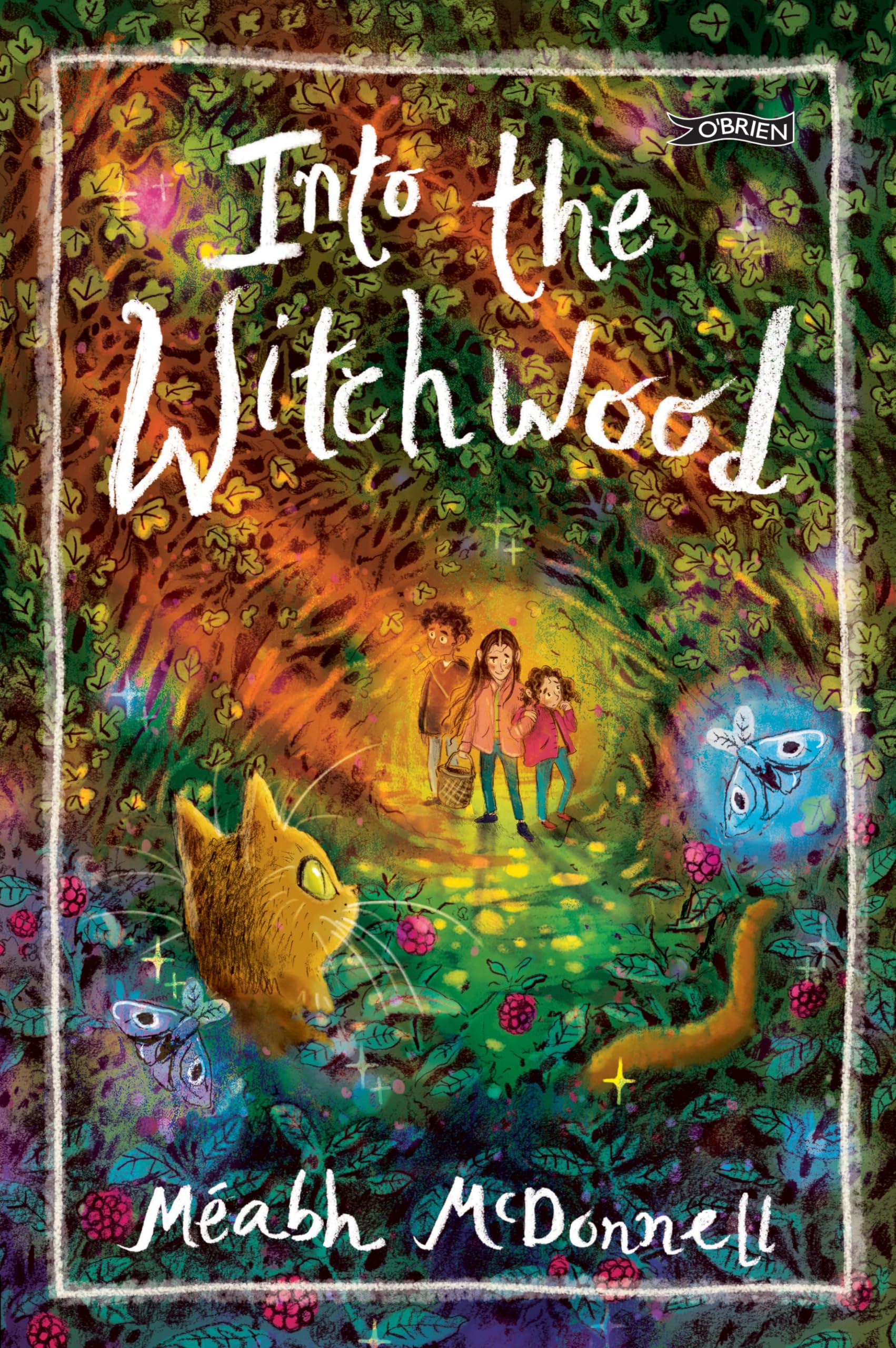 Meabh McDonnell: Into the Witchwood [2024] paperback