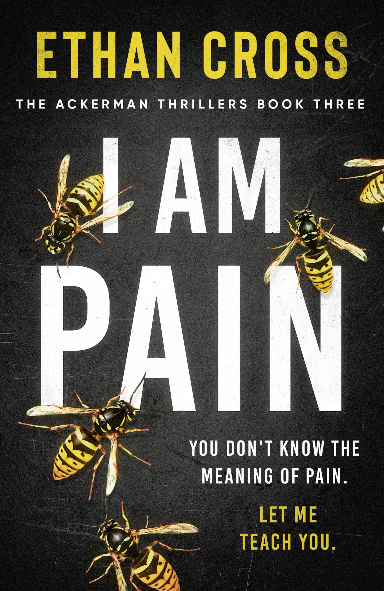 I Am Pain (The Ackerman Thrillers): 3